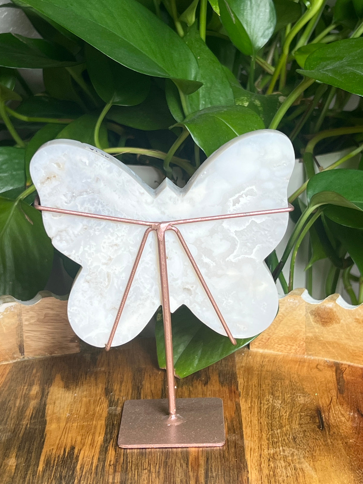 White Plume Agate Butterfly: TA