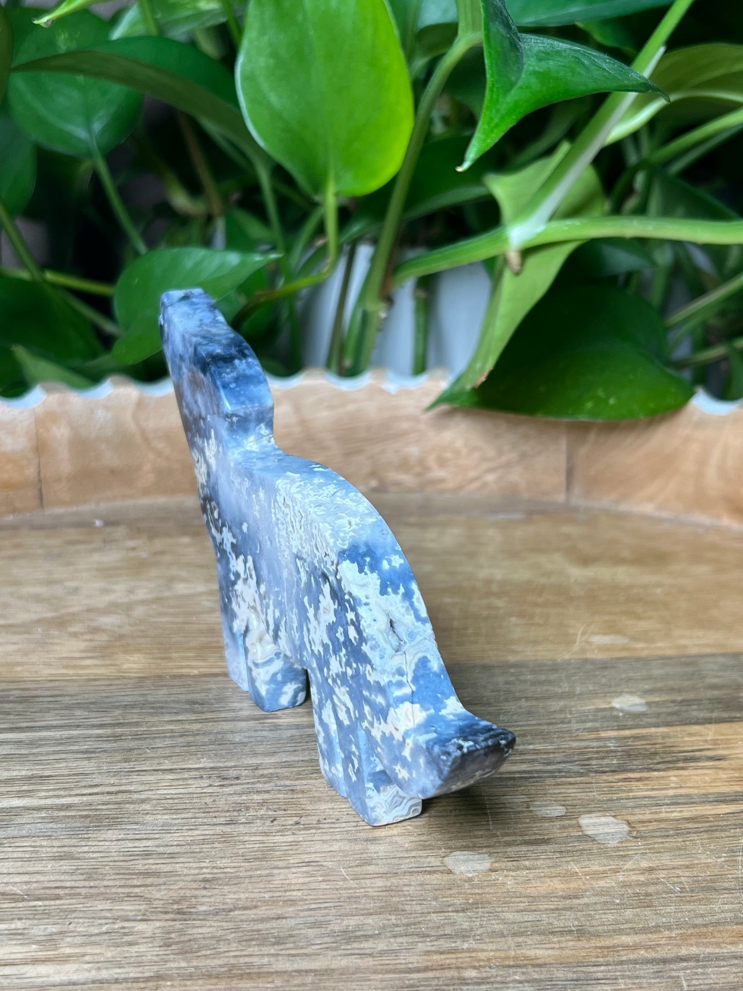 Blue Plume Agate Dog