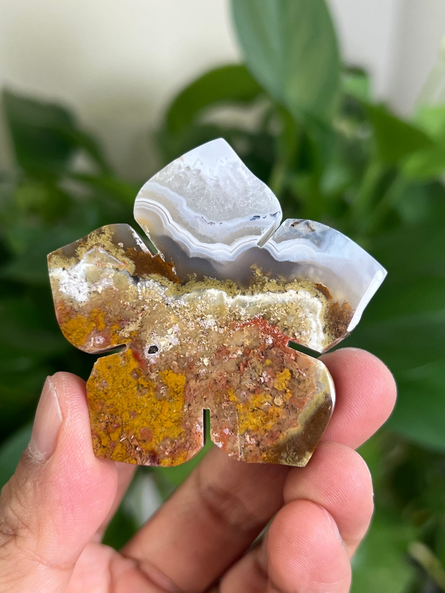 Scenic Moss Agate Flower ND