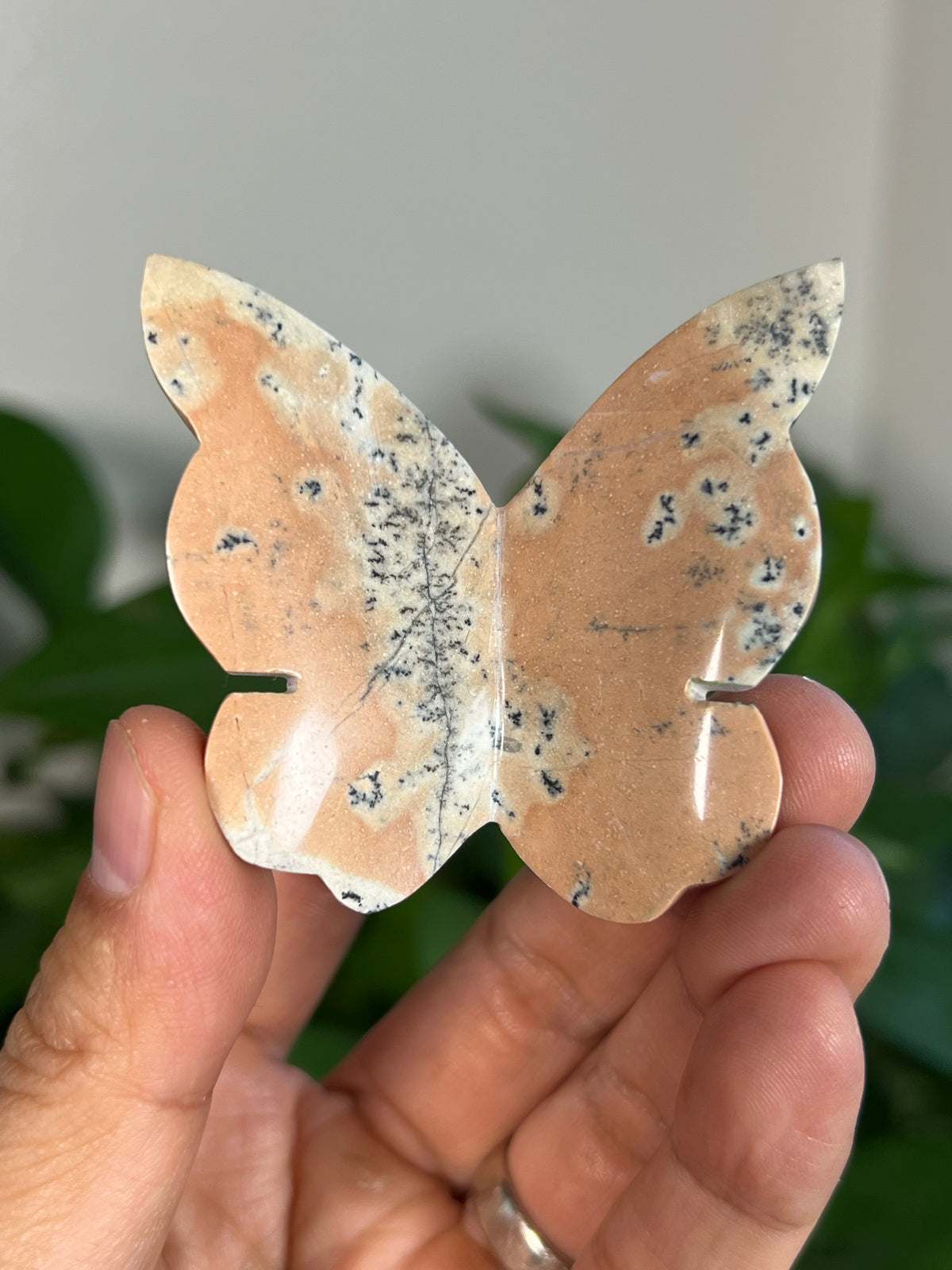 Peachy Pink Dendritic Jasper 3D Butterflies