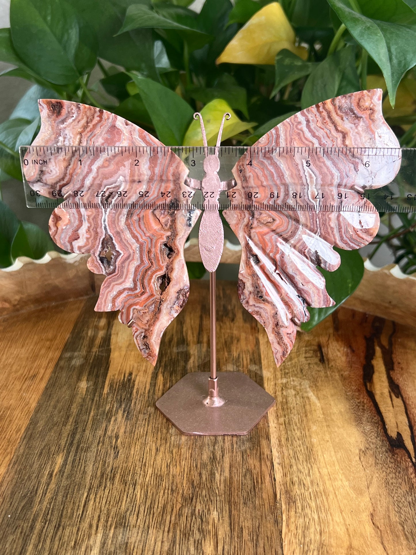 Pink Crazy Lace Agate Wings BF