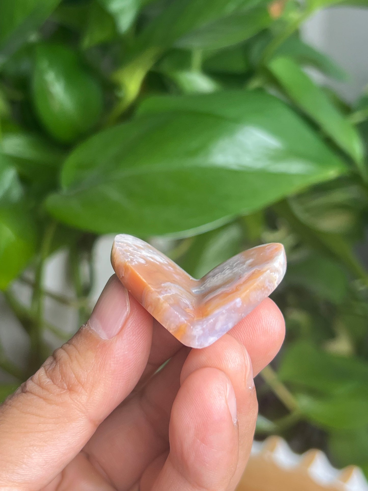 Flower Carnelian 3D Butterfly Heart: BQ