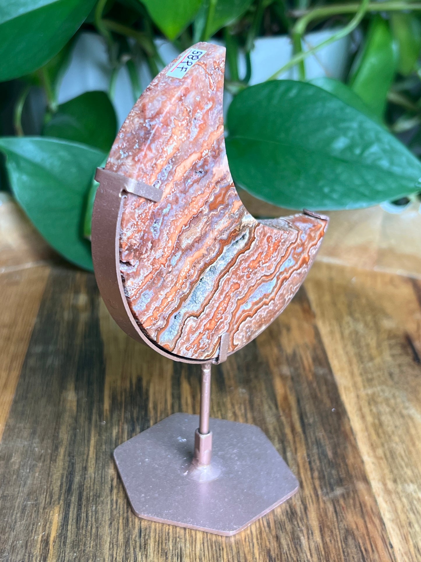 Crazy Lace Agate Moon: PF