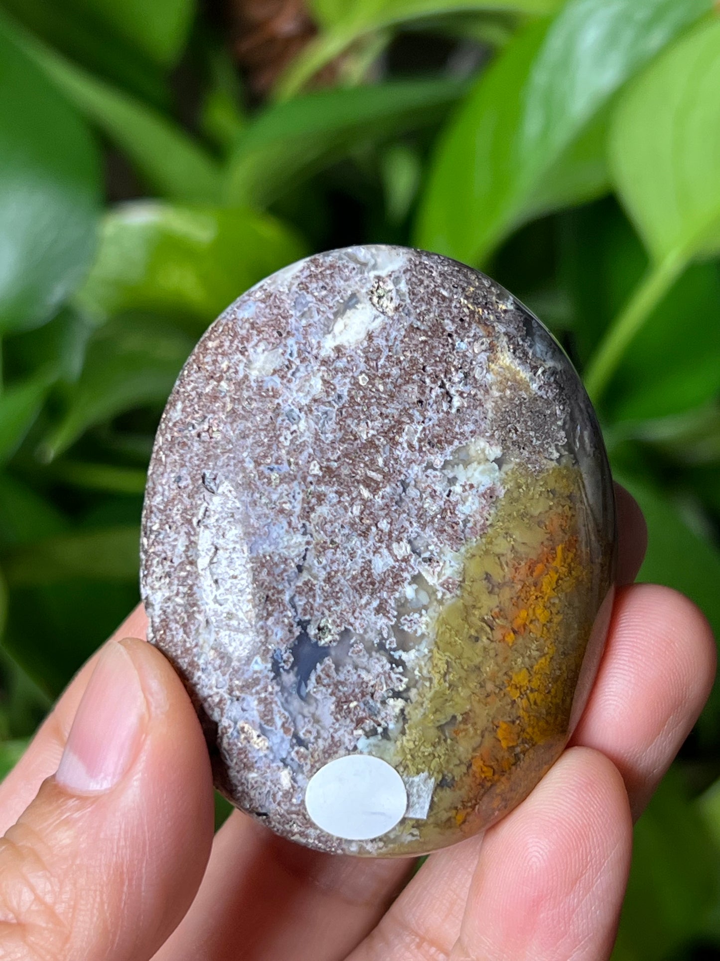 Scenic Moss Agate Palmstone