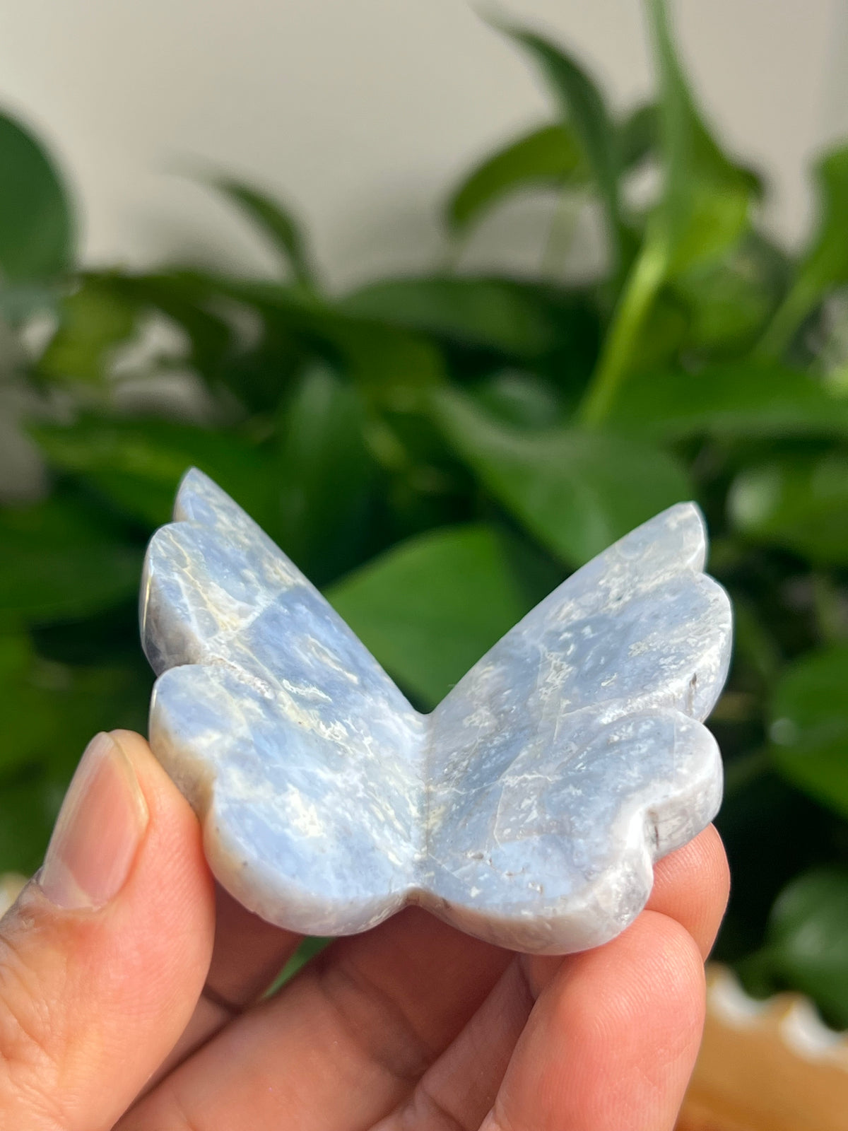 Blue Plume Agate 3D Butterfly: H