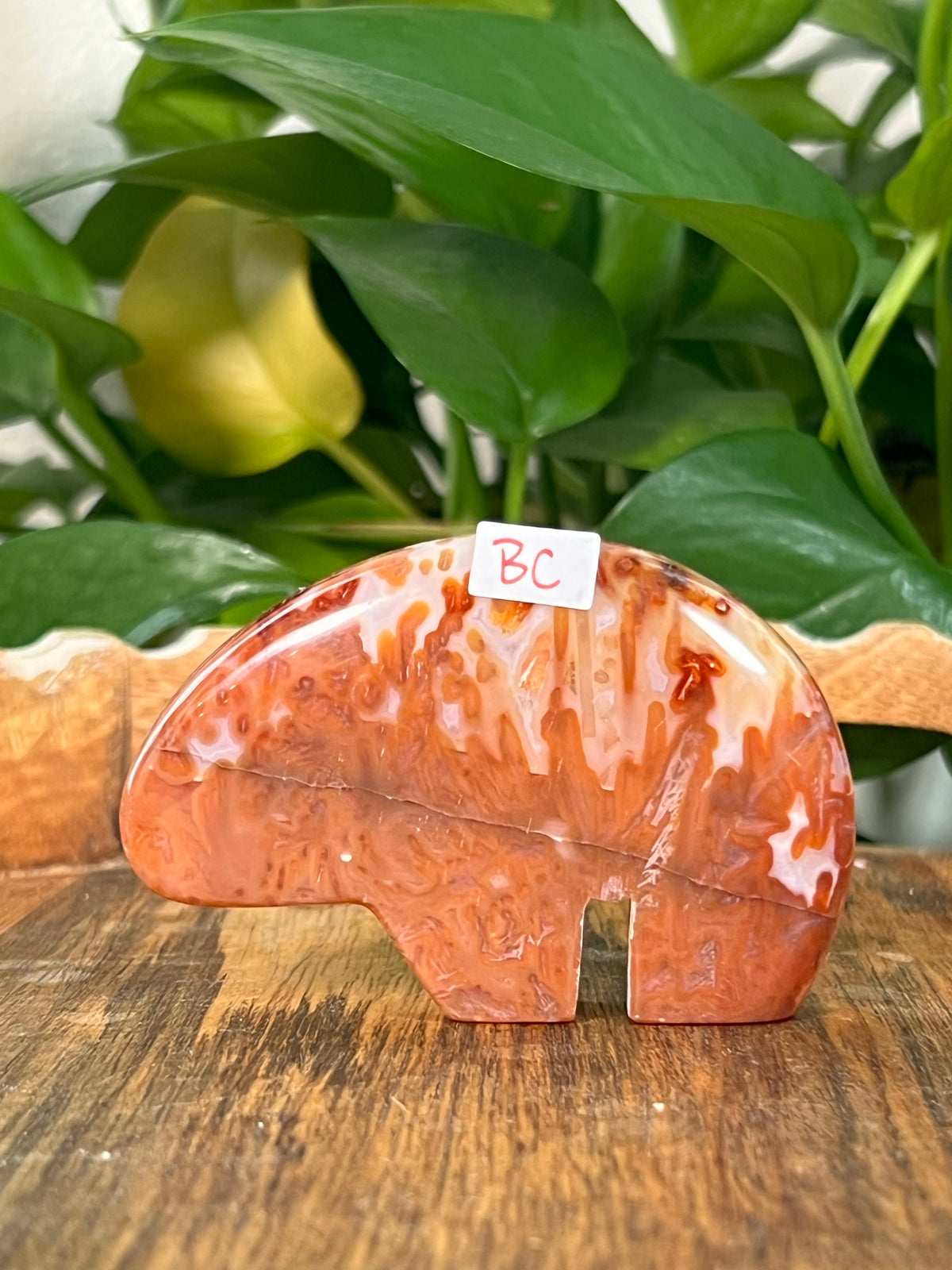 Red Carnelian Bears
