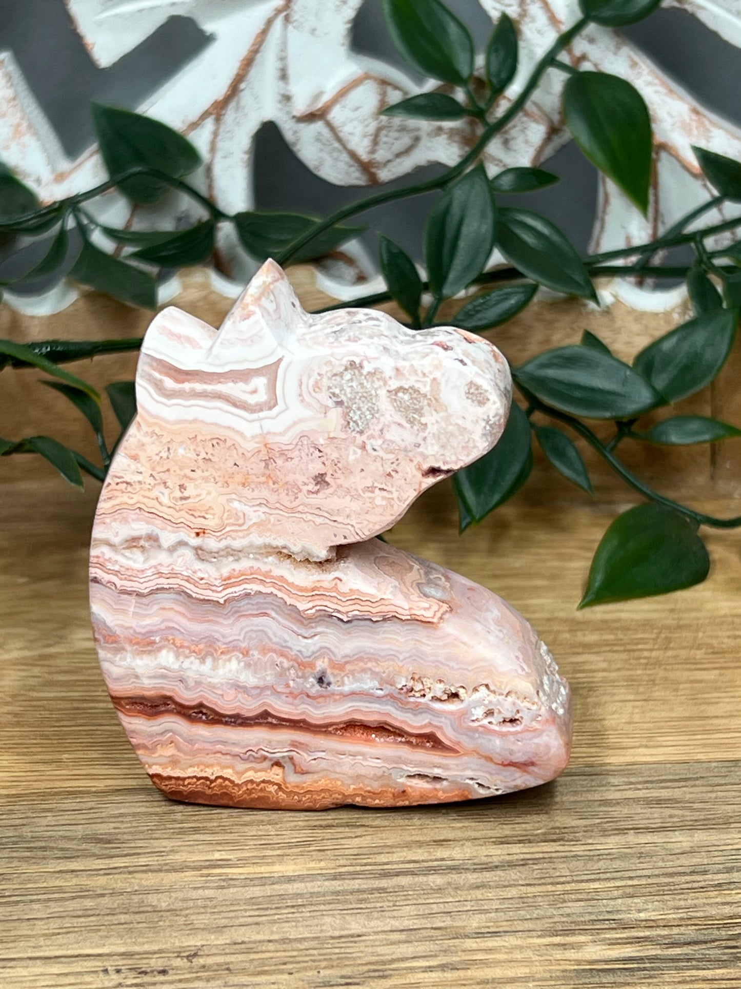 Pink Crazy Lace Agate Unicorn