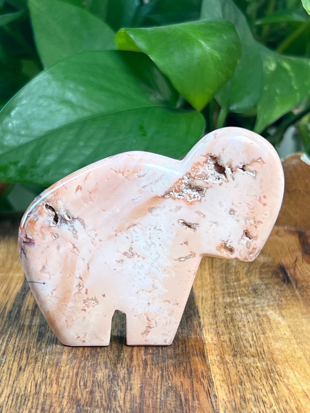 Pink Carnelian Buffalo: VD