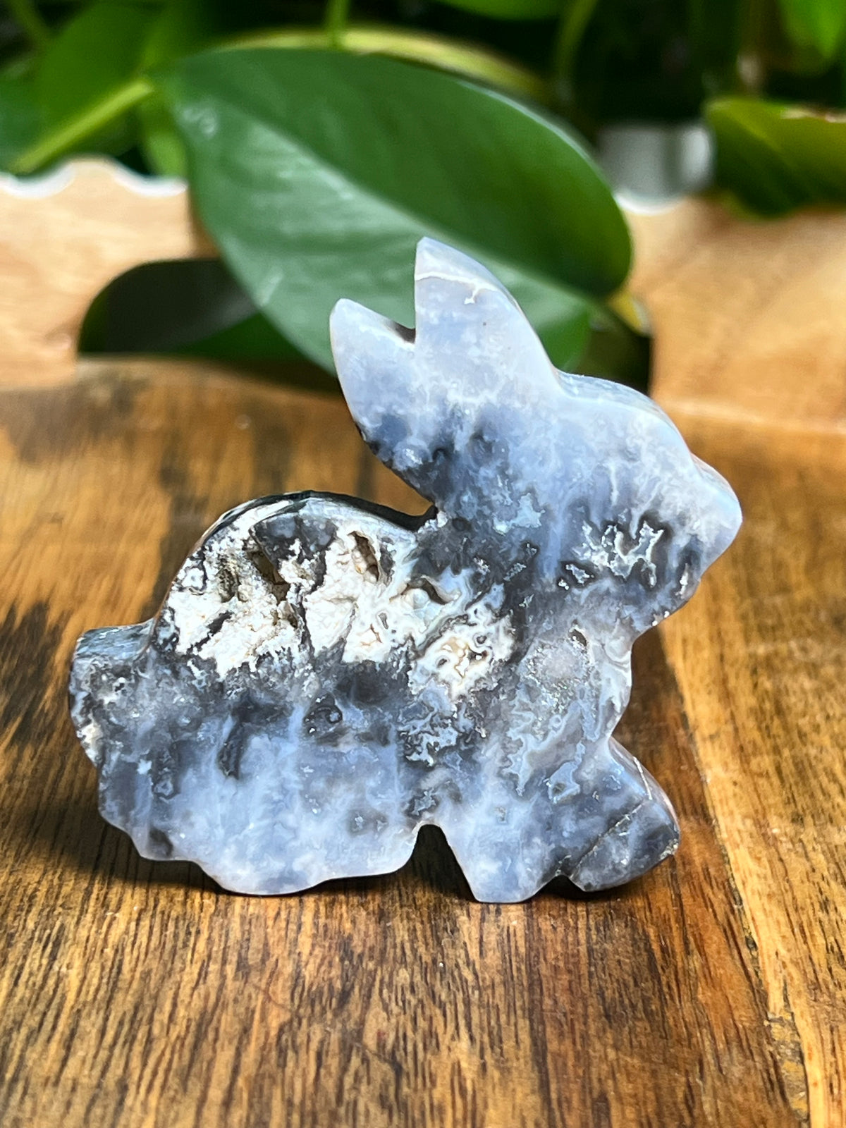 Blue Plume Agate Bunny: PE