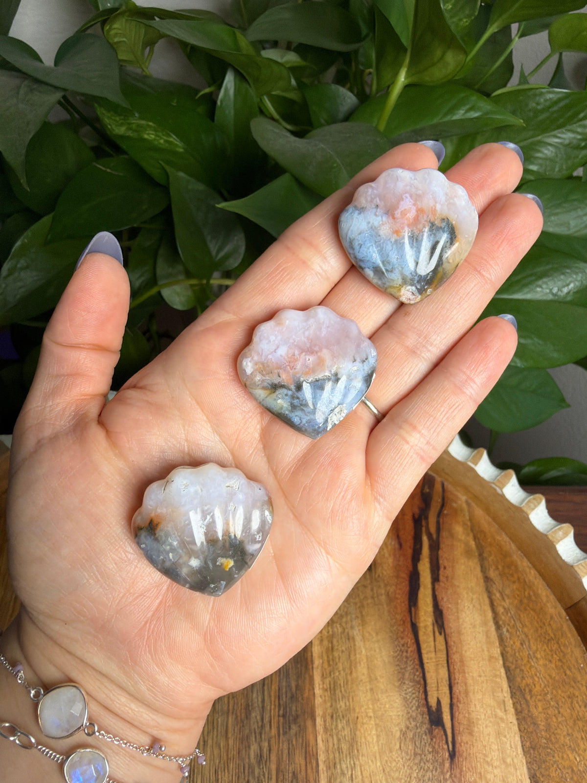 Rainbow Plume Agate Shells