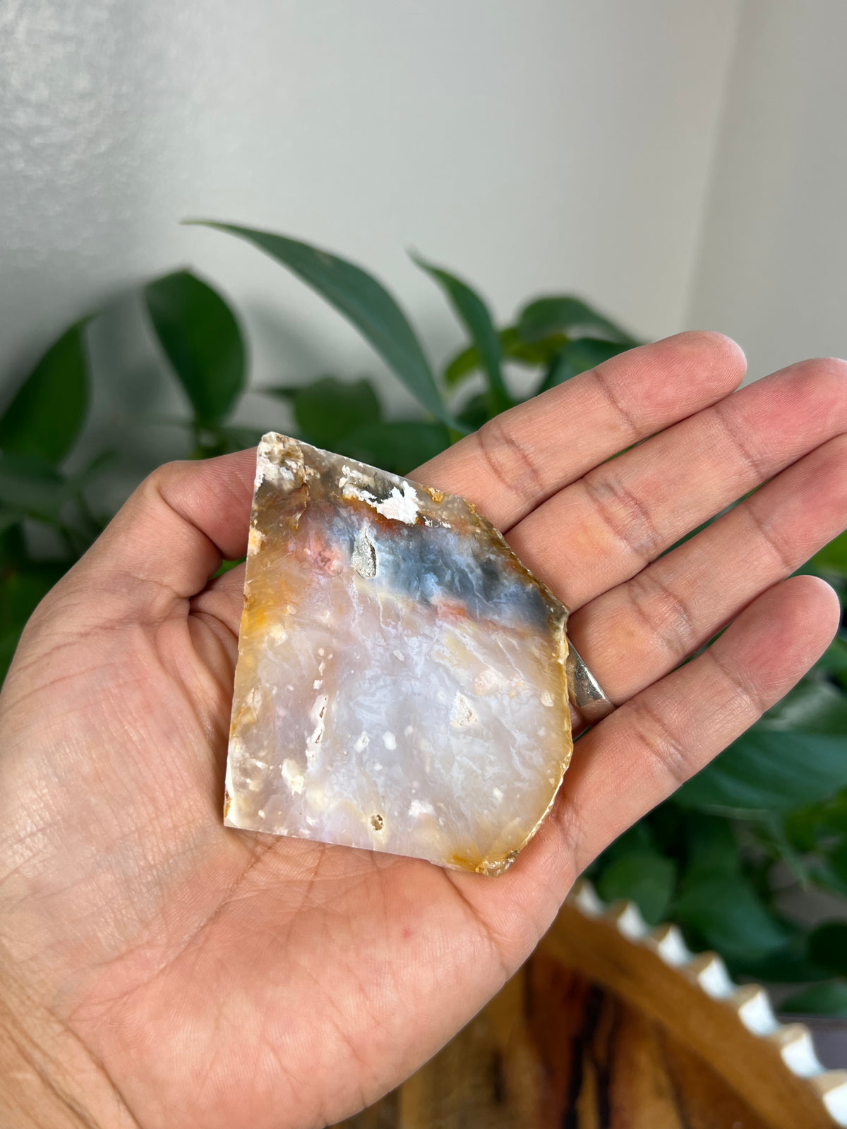 Rainbow Plume Agate Slabs