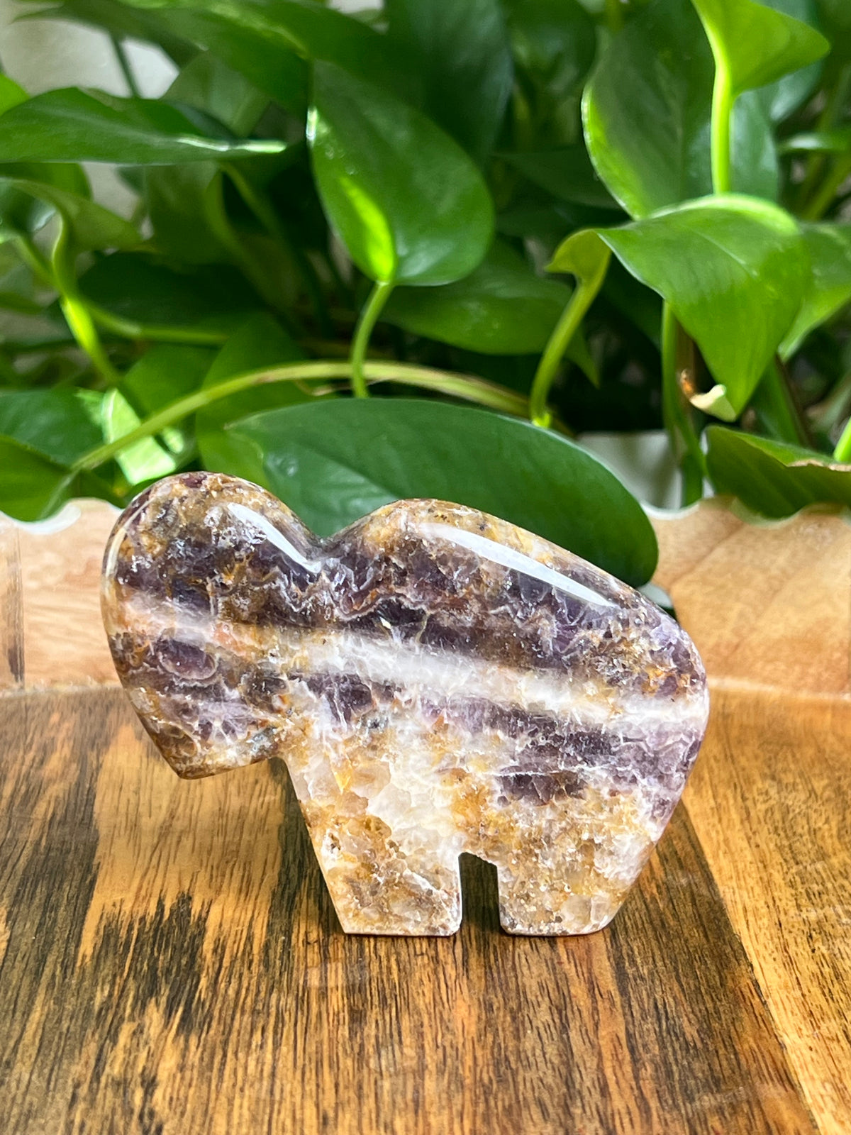 Indonesian Amethyst Buffalo: RL