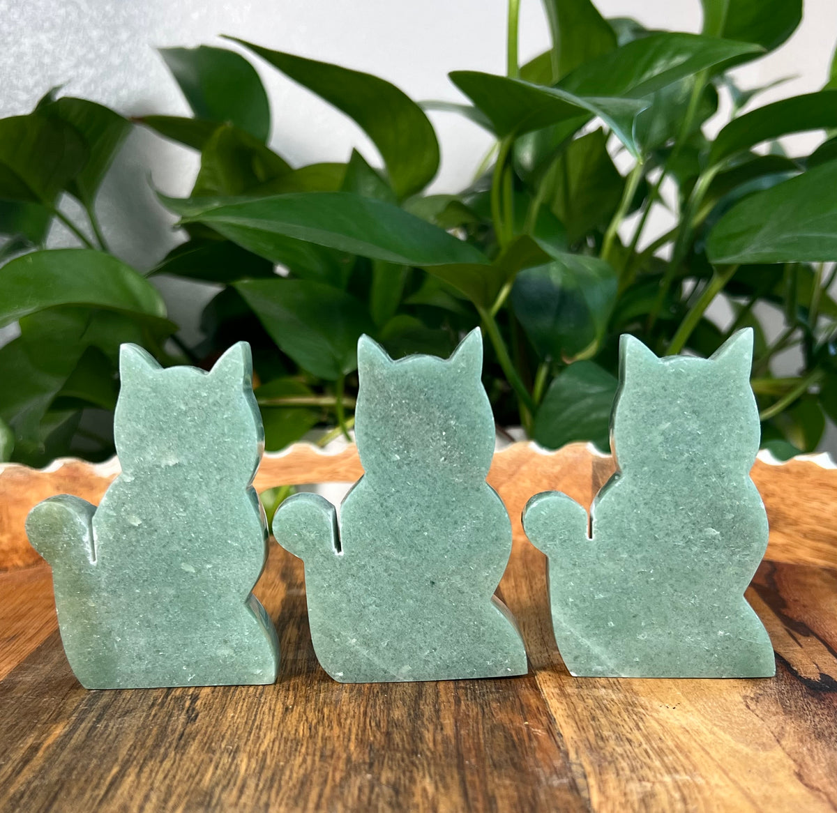Idocrase Cats