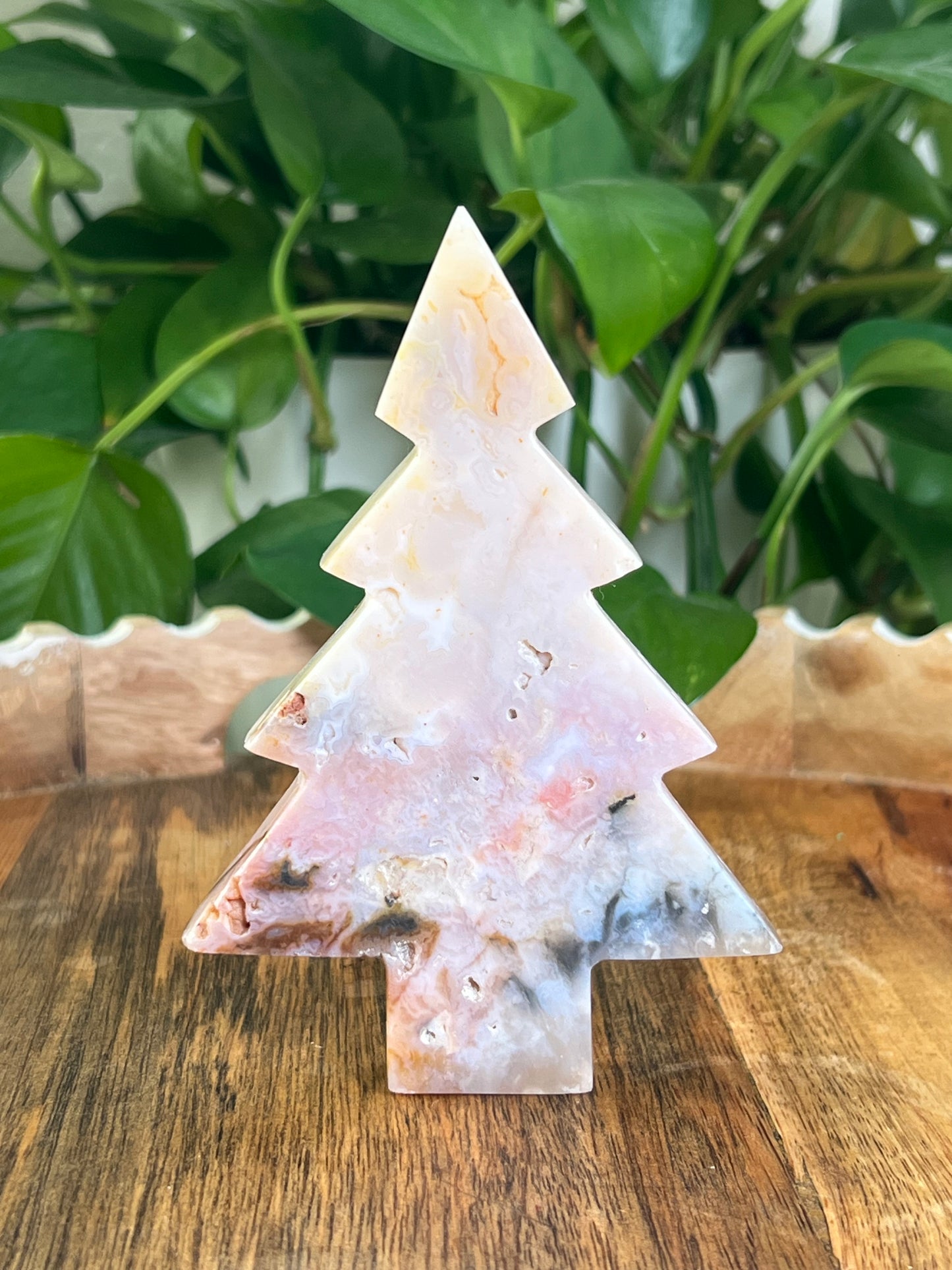 Rainbow Plume Agate Tree: DA