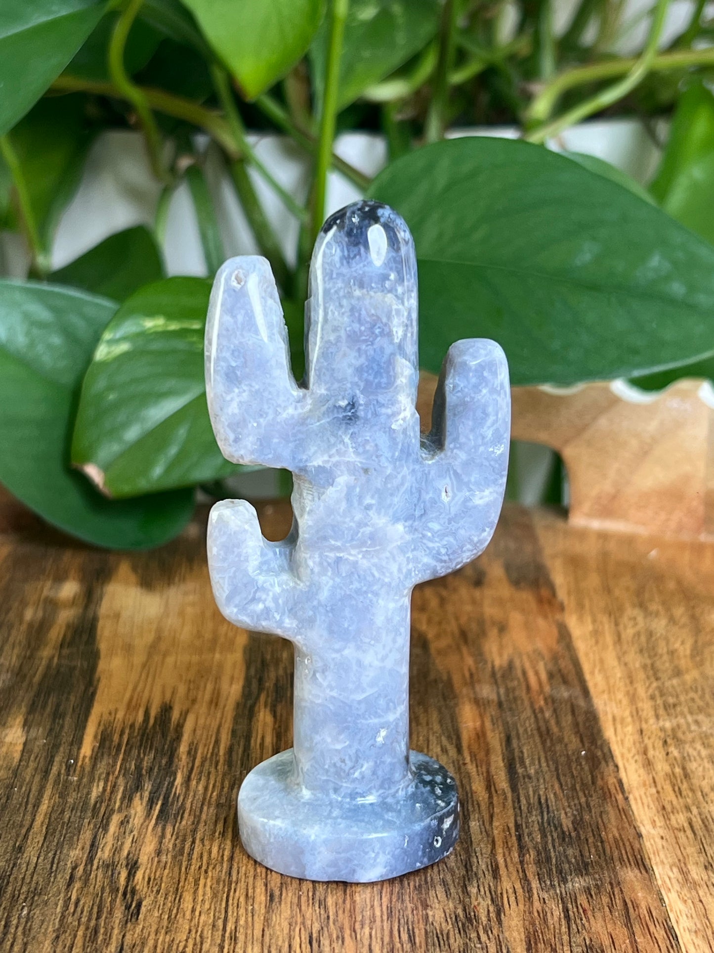 Blue Plume Agate Cactus: CA