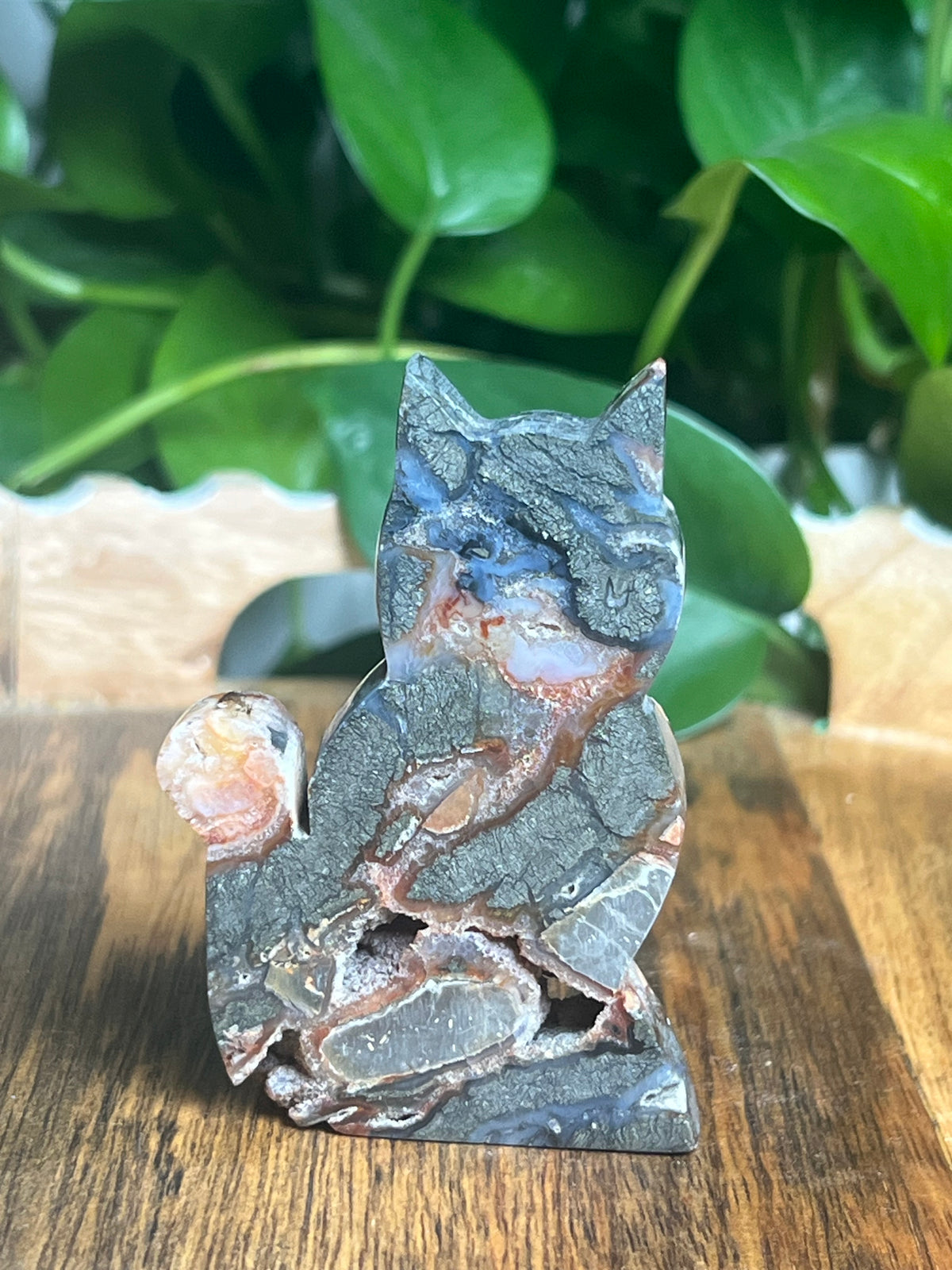 Marcasite Cat: DQ