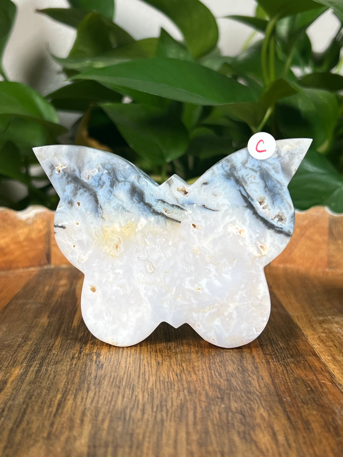Rainbow Plume Agate Butterflies