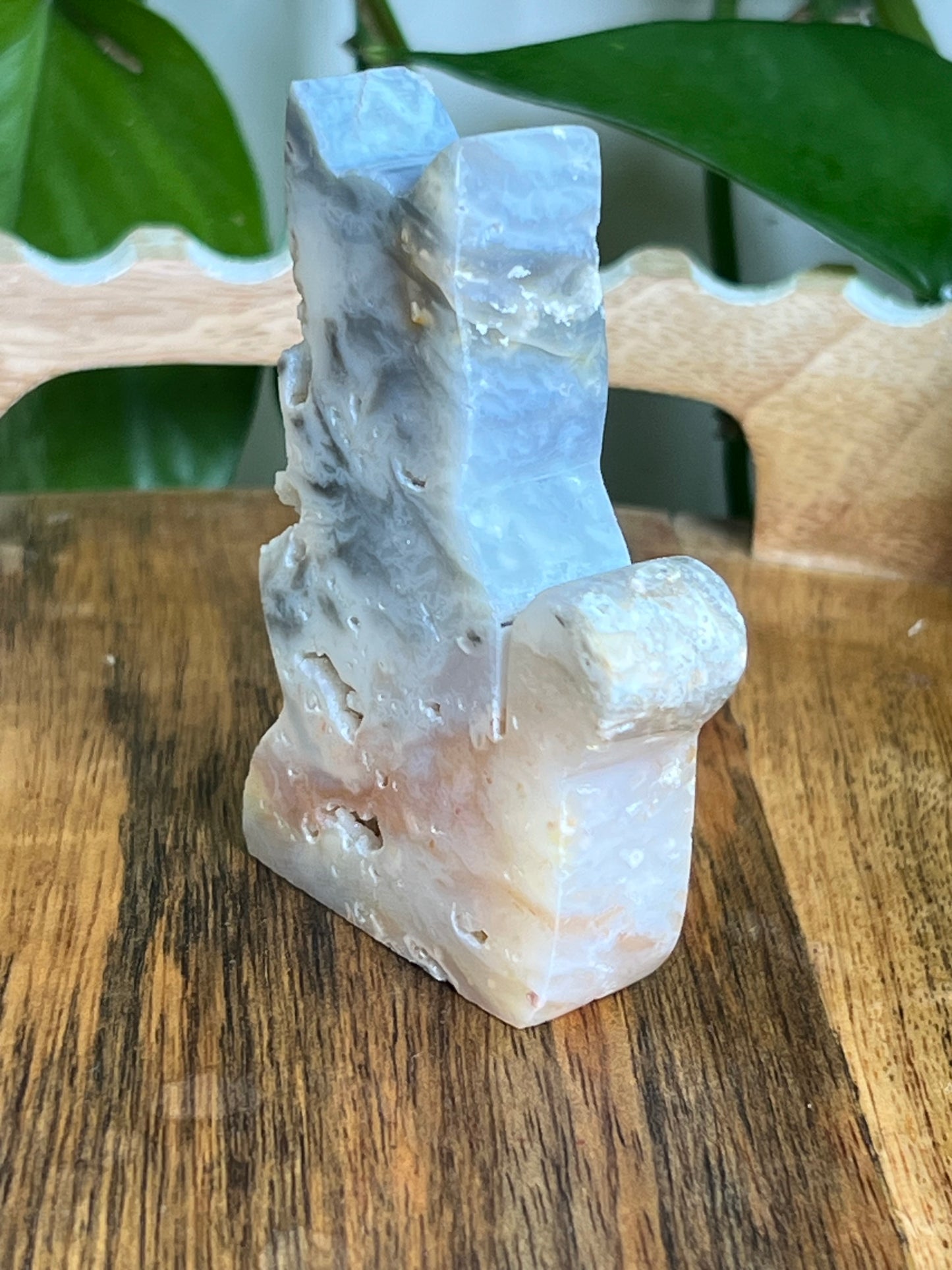 Rainbow Plume Agate Cat NH