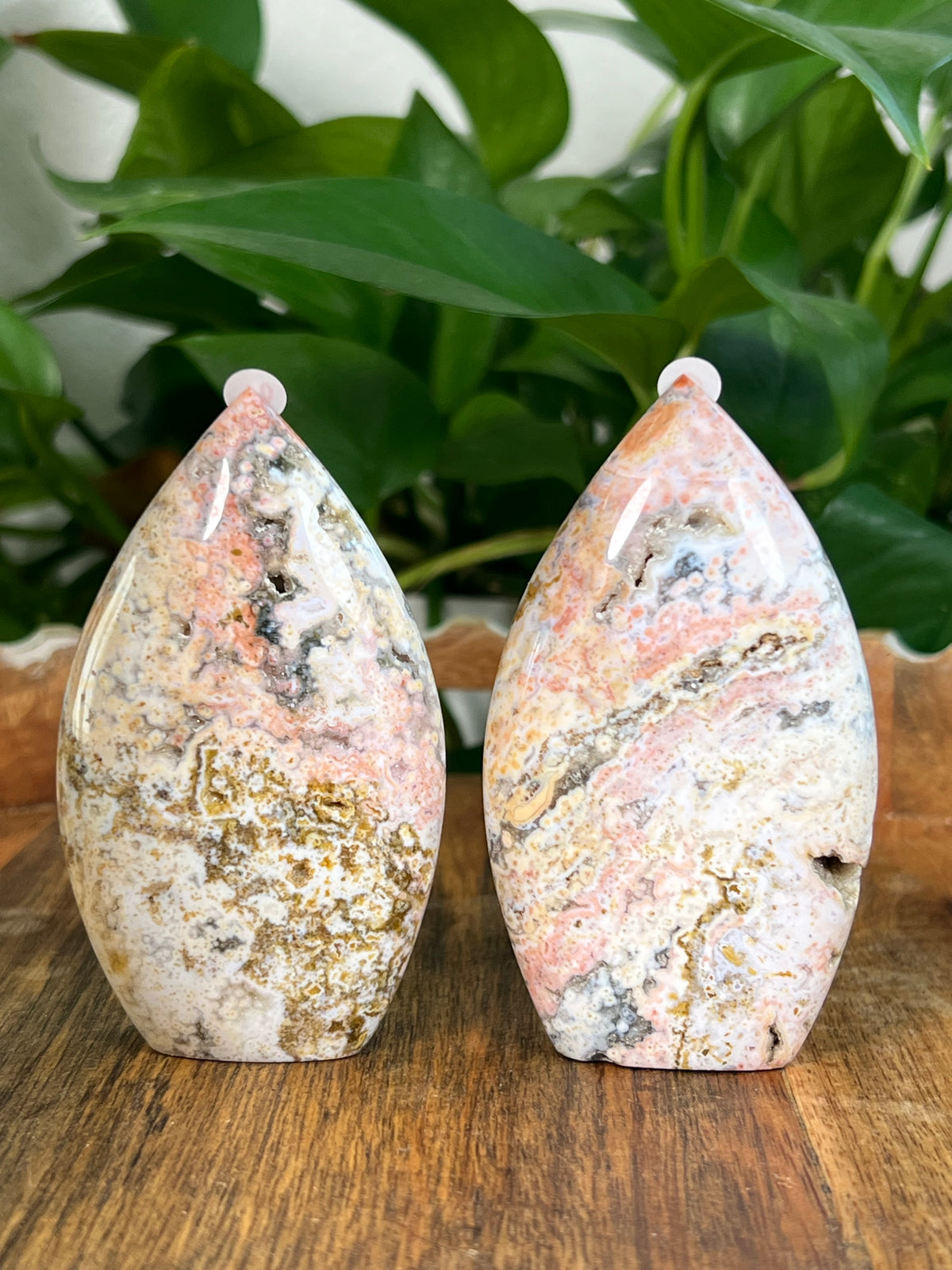 Sea Jasper Flames