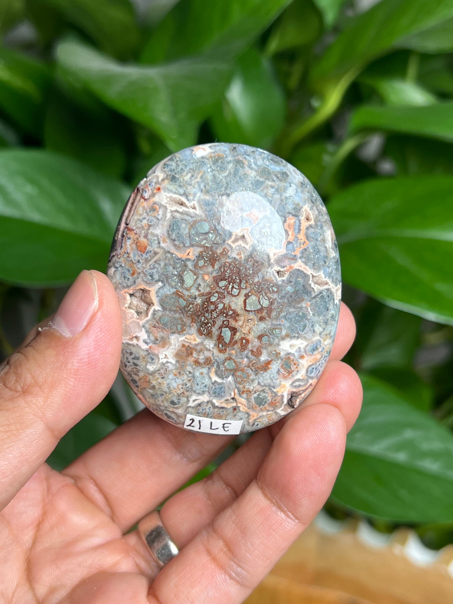 Marcasite Palmstone: LE