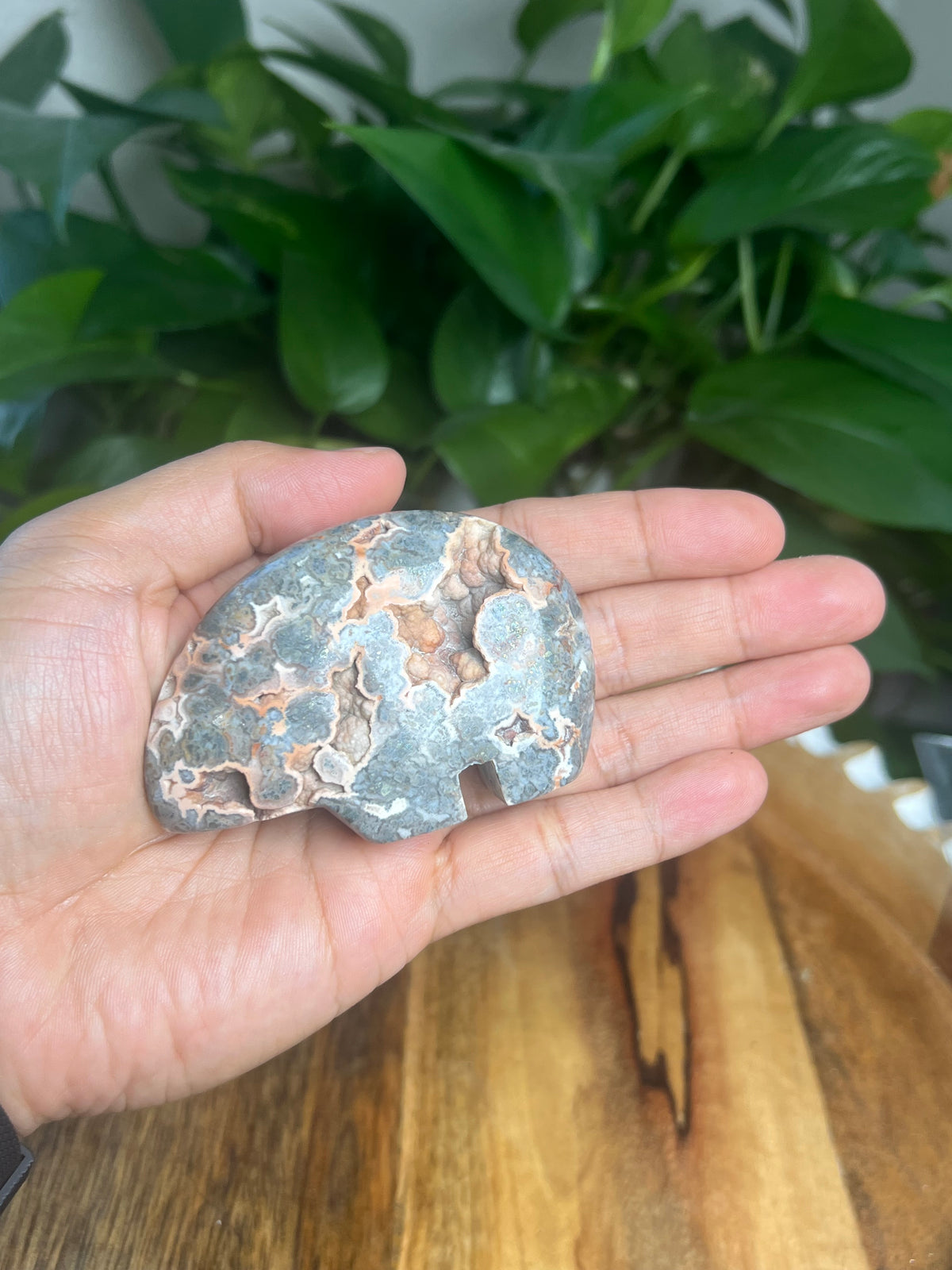 Marcasite Bear: TE