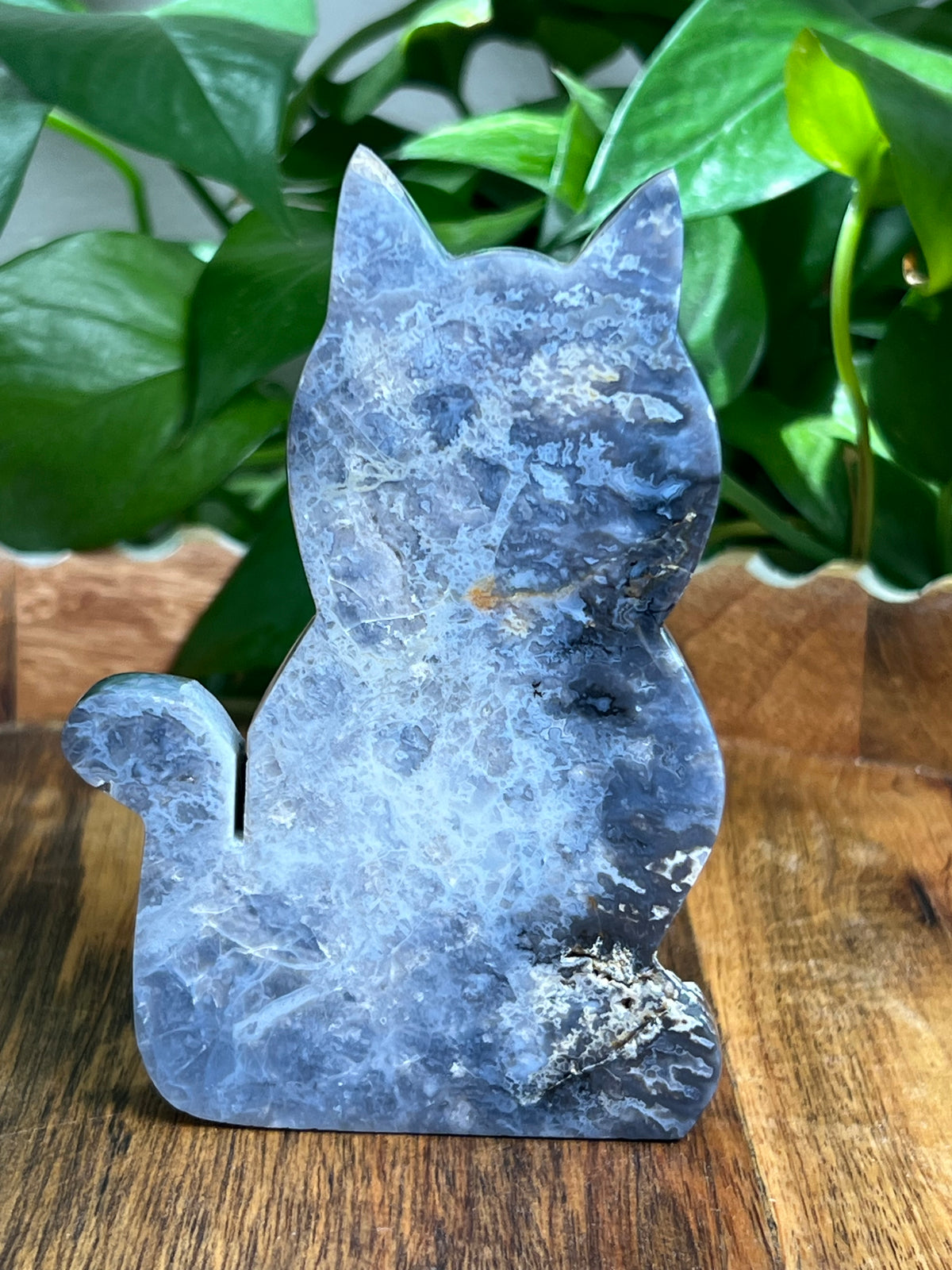 Blue Plume Agate Cat: MA