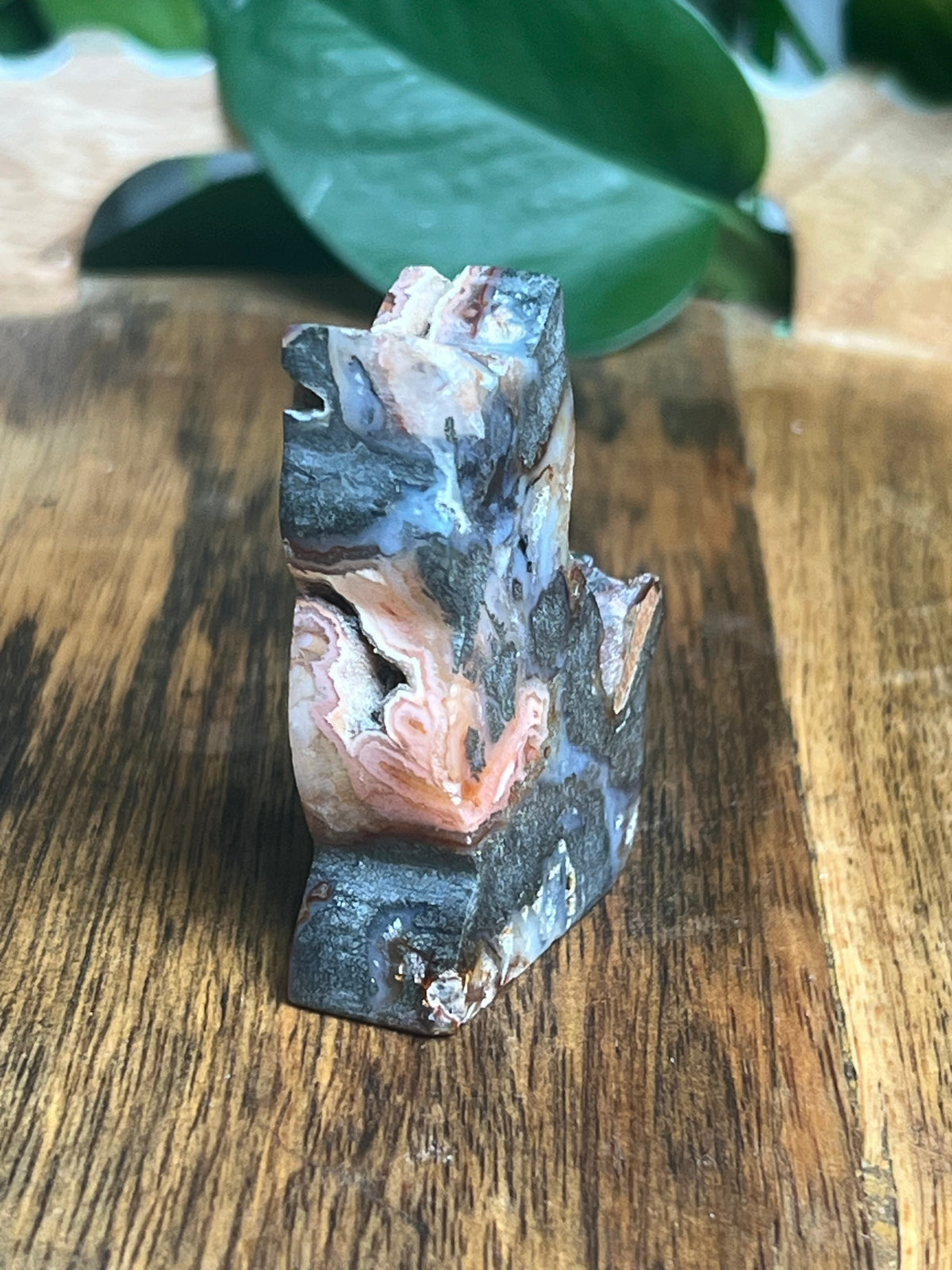 Marcasite Mini Cat: XG
