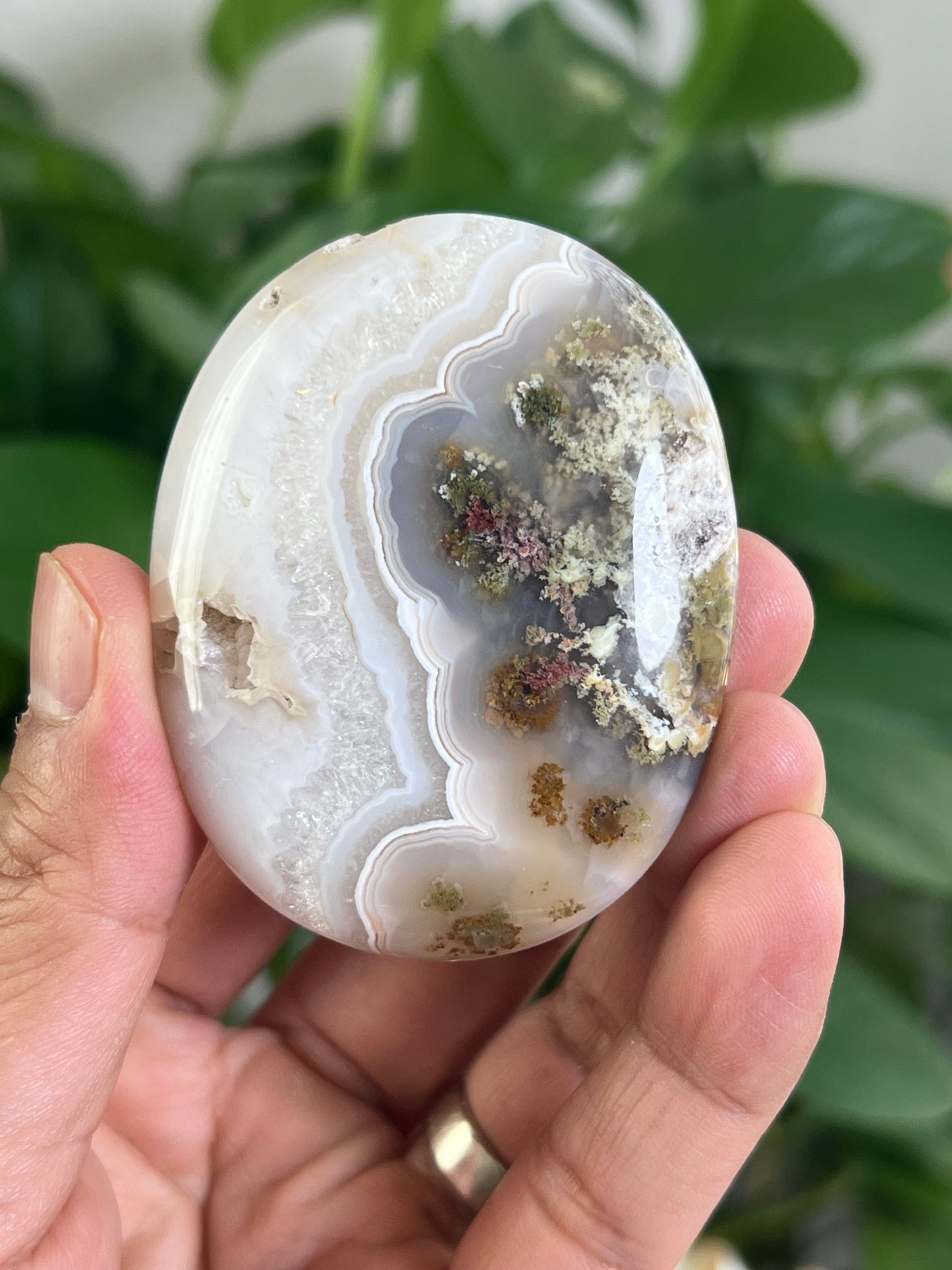 Scenic Moss Agate Palmstone: Bi