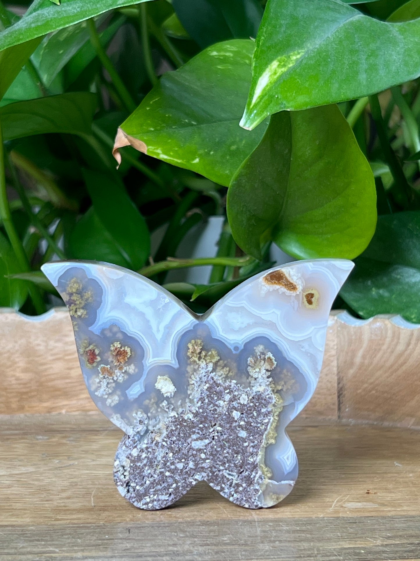 Scenic Moss Agate Butterfly