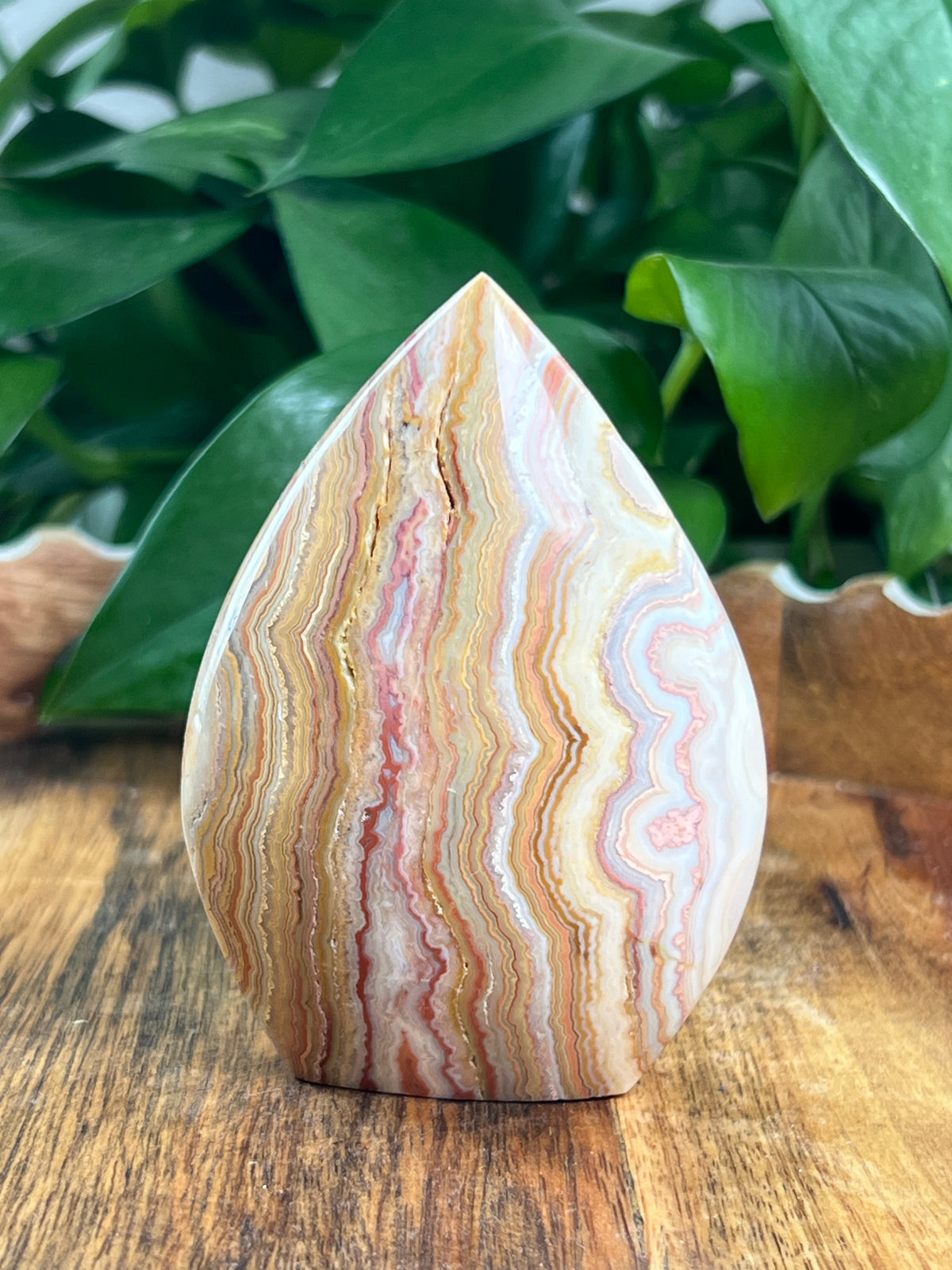 Crazy Lace Agate Flame: BB