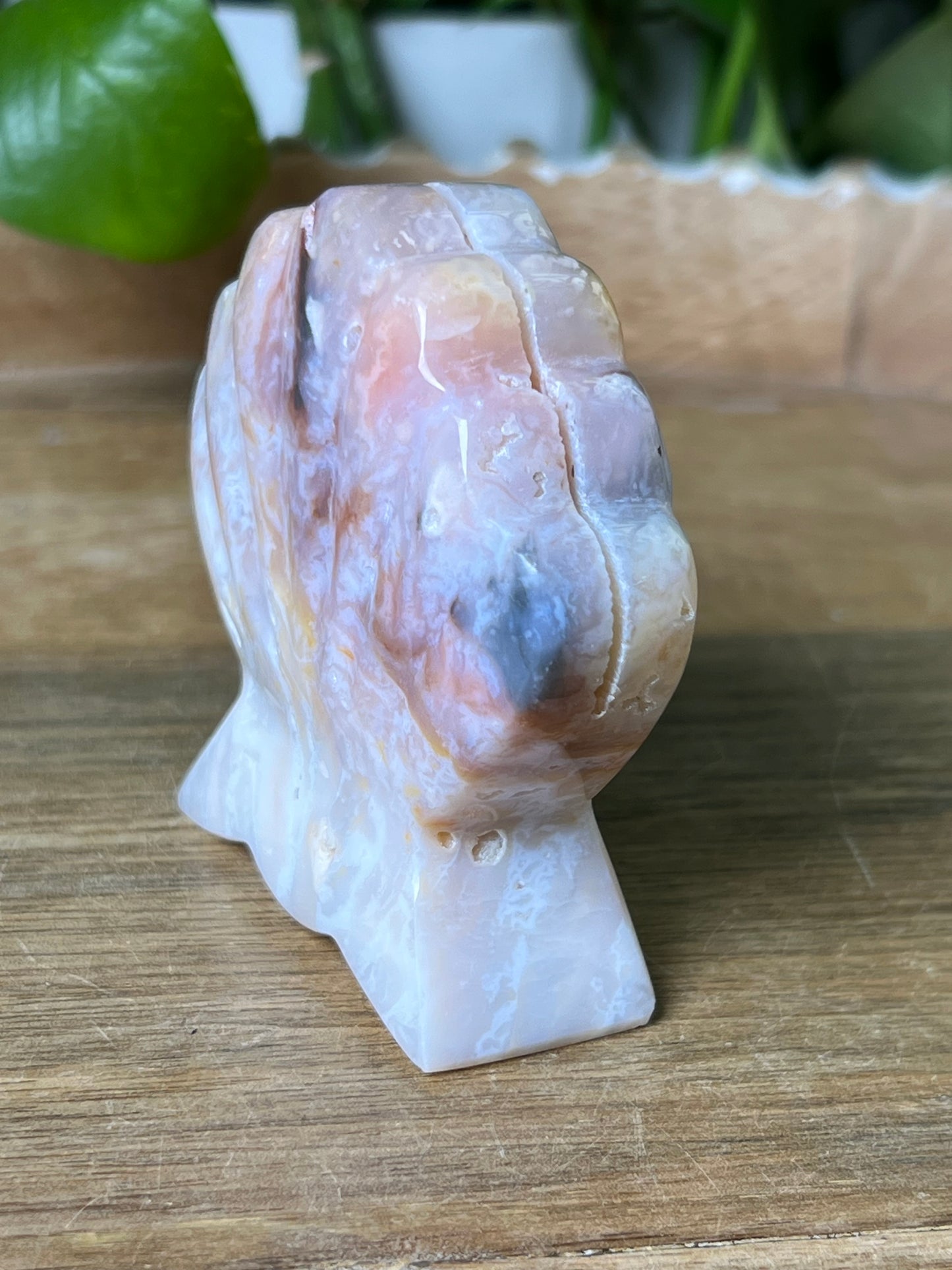 Rainbow Plume Agate Shell