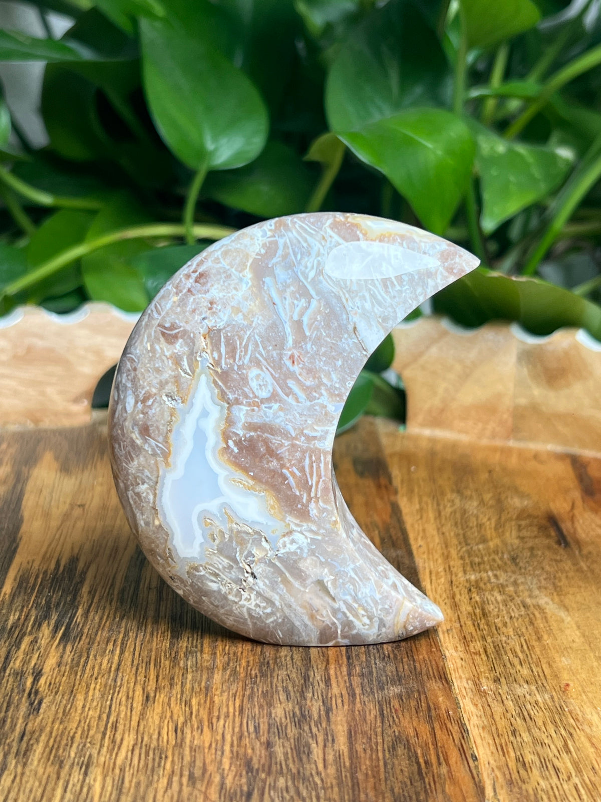 Sumatra Plume Agate Self-Standing Moon: ND