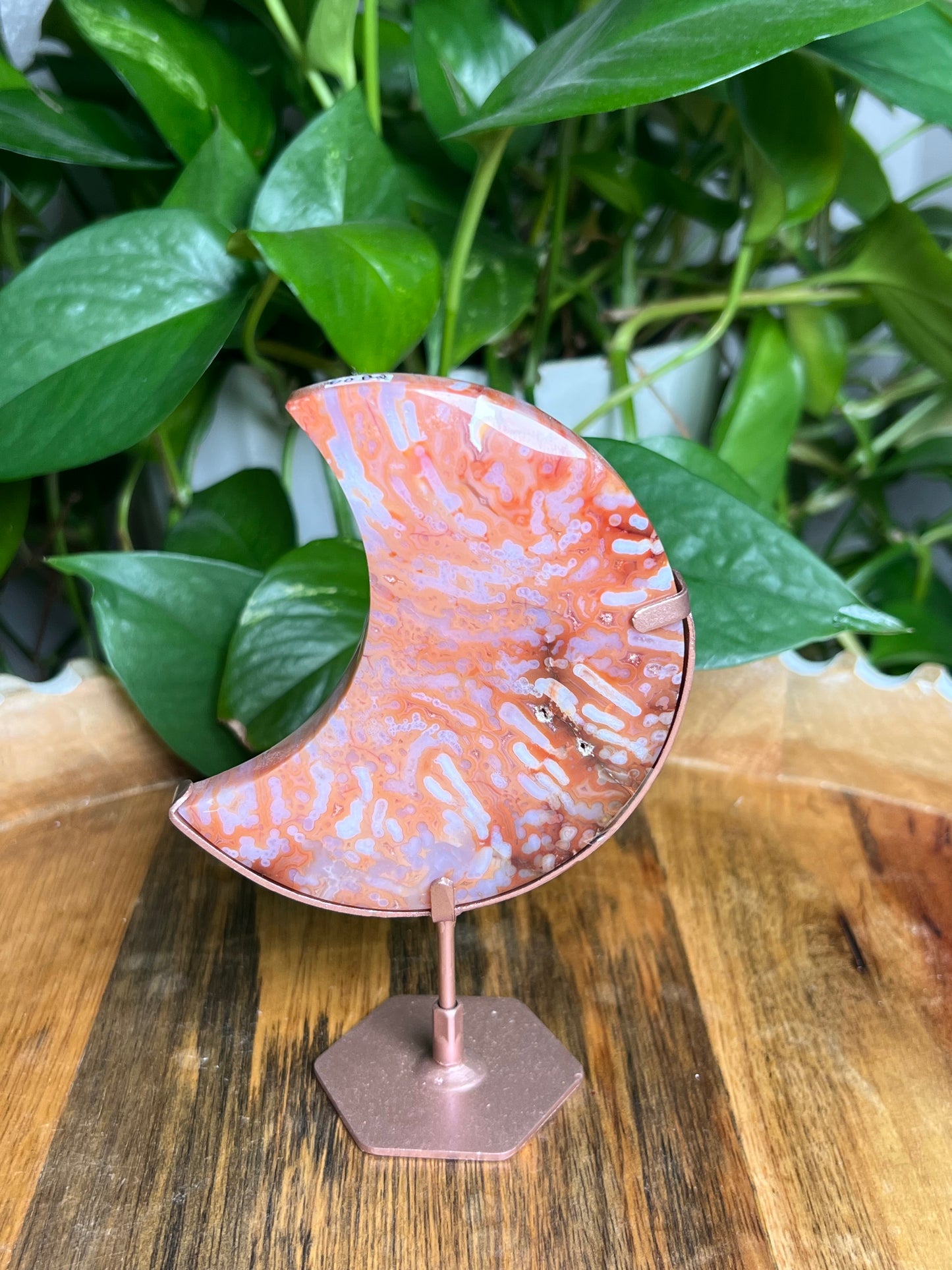 Carnelian Moon: BQ