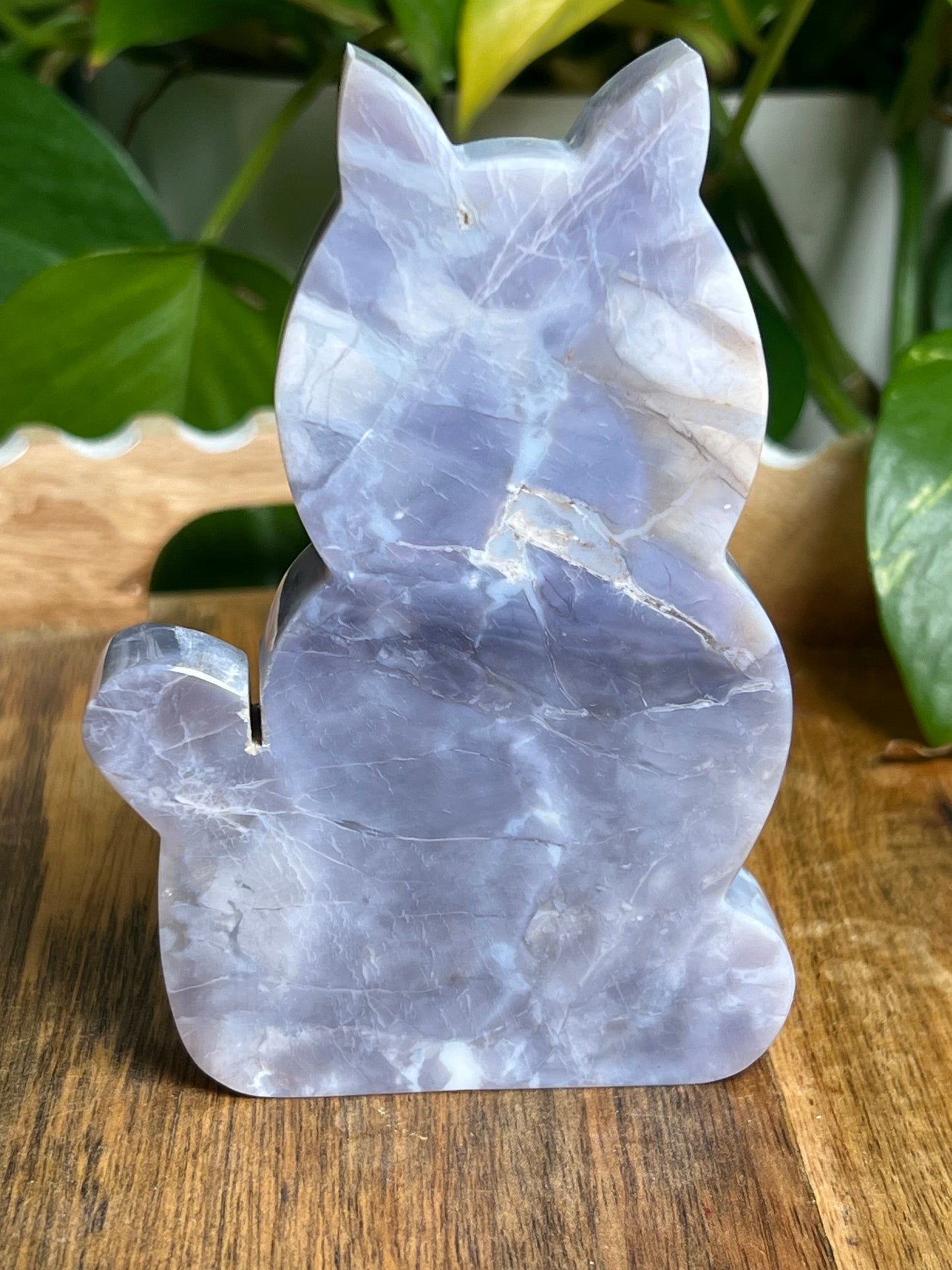 Purple Chalcedony Cat PX