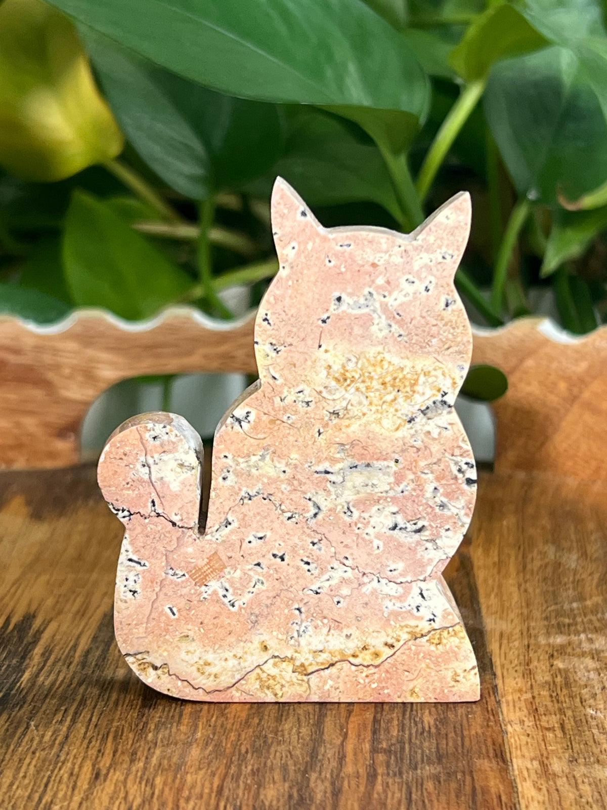 Peachy Pink Jasper Cats