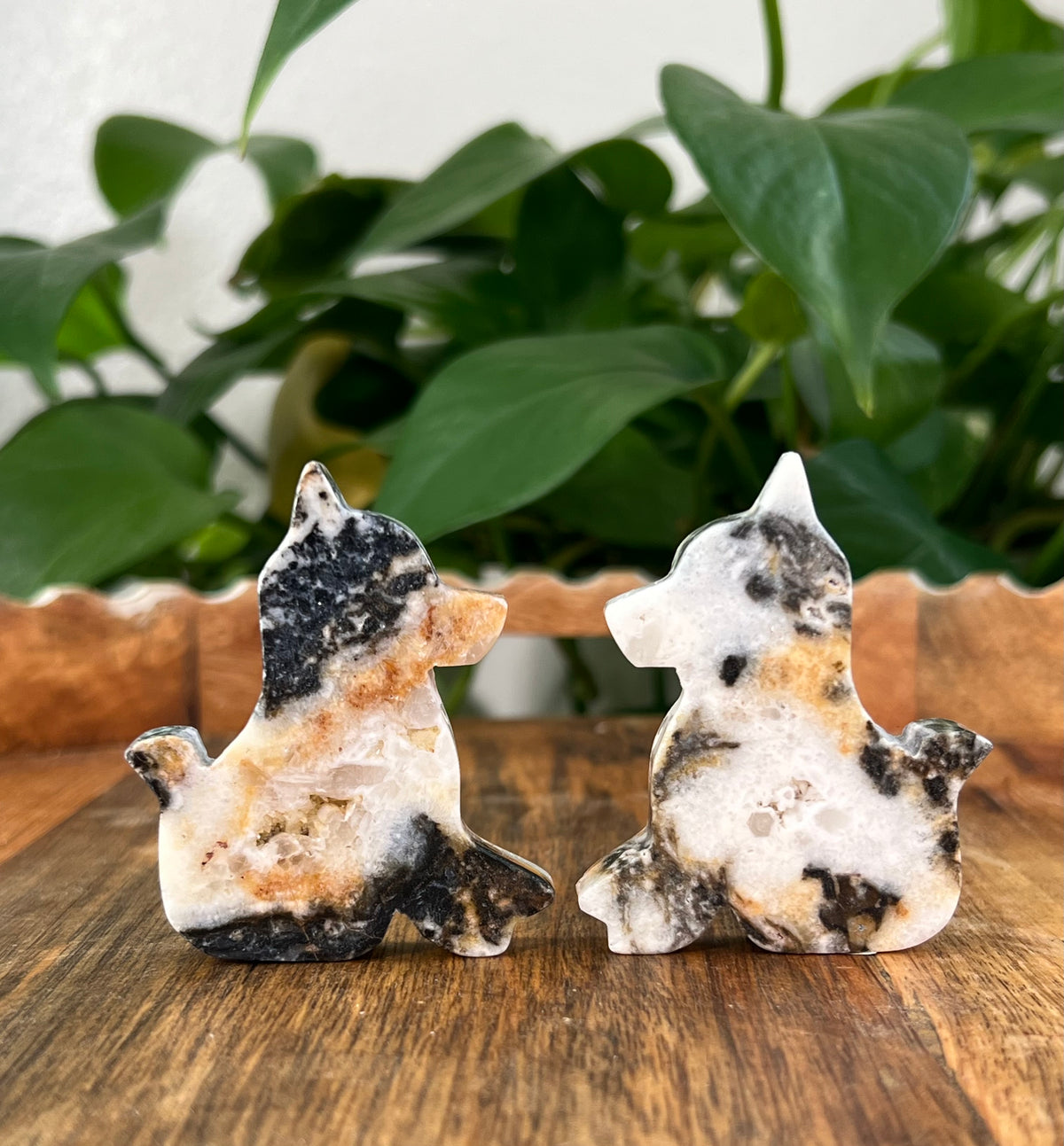 Sphalerite Dogs