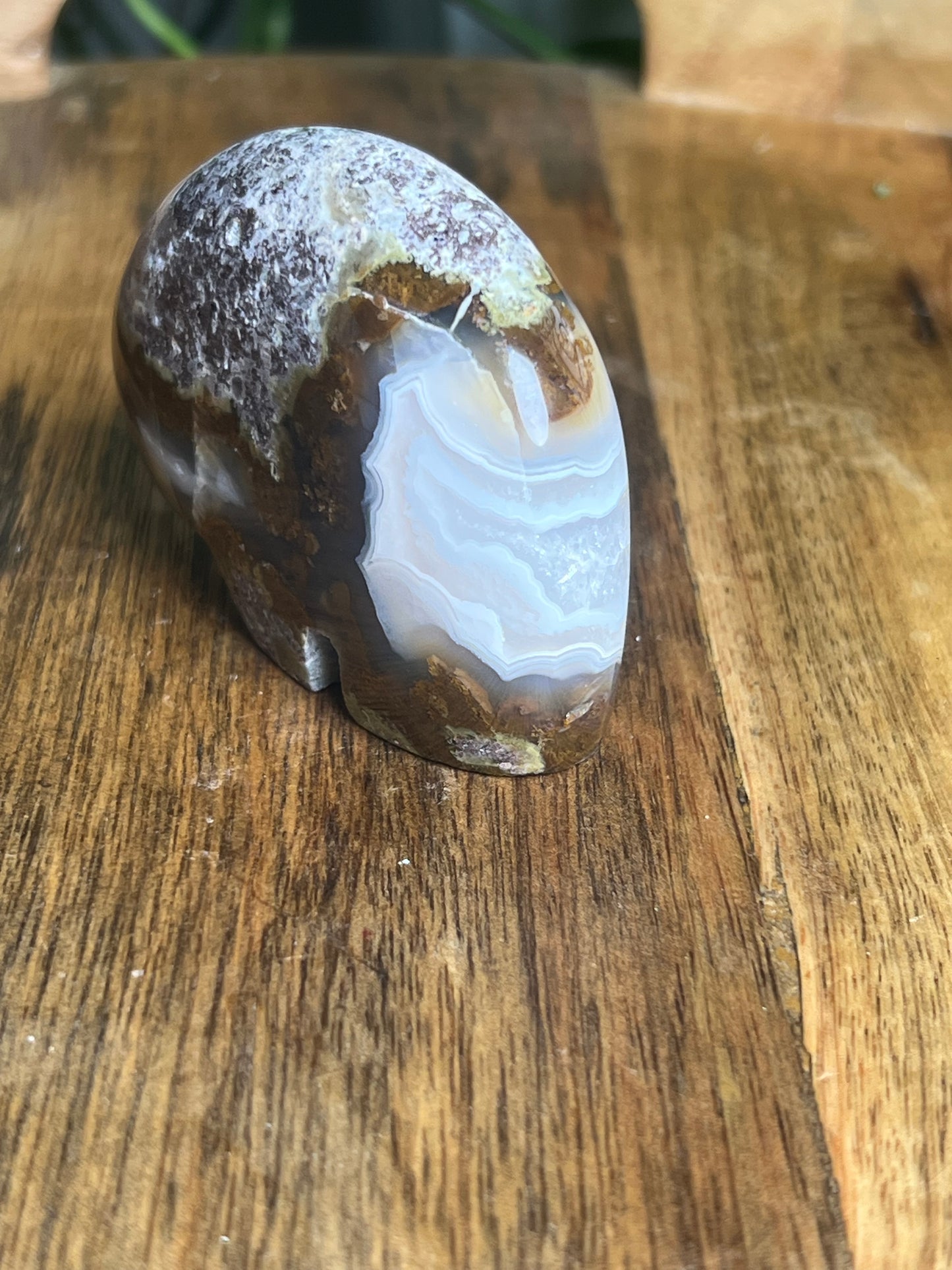 Scenic Moss Agate Bear BK