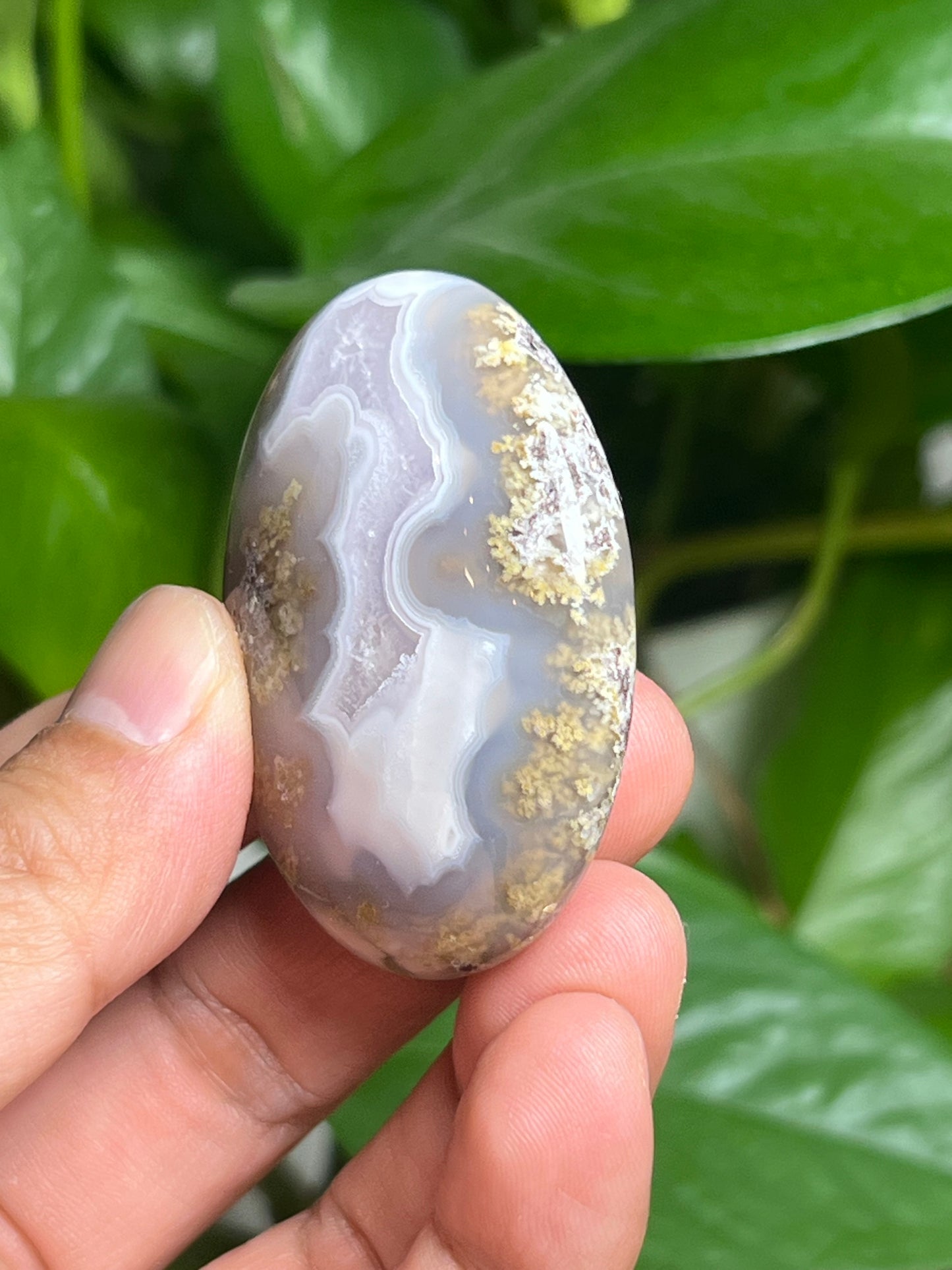 Scenic Moss Agate Palmstone: BA