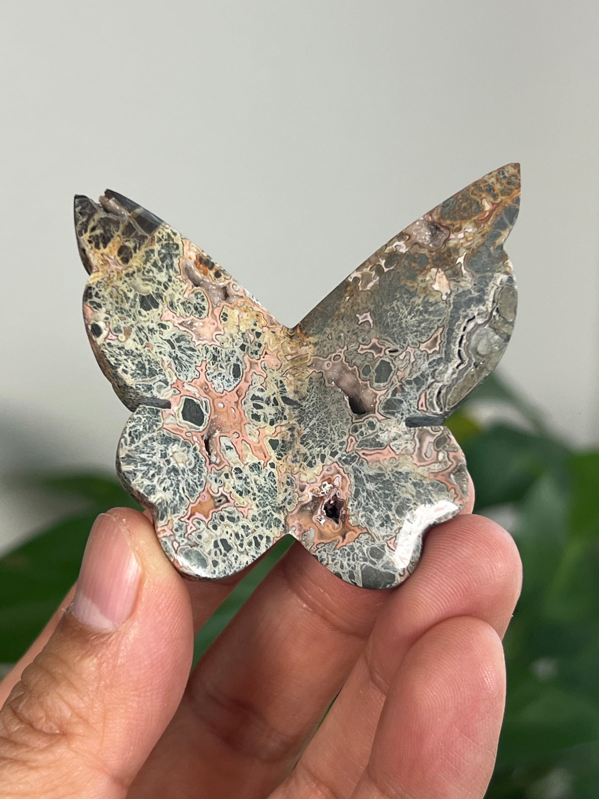 Marcasite 3D Butterflies