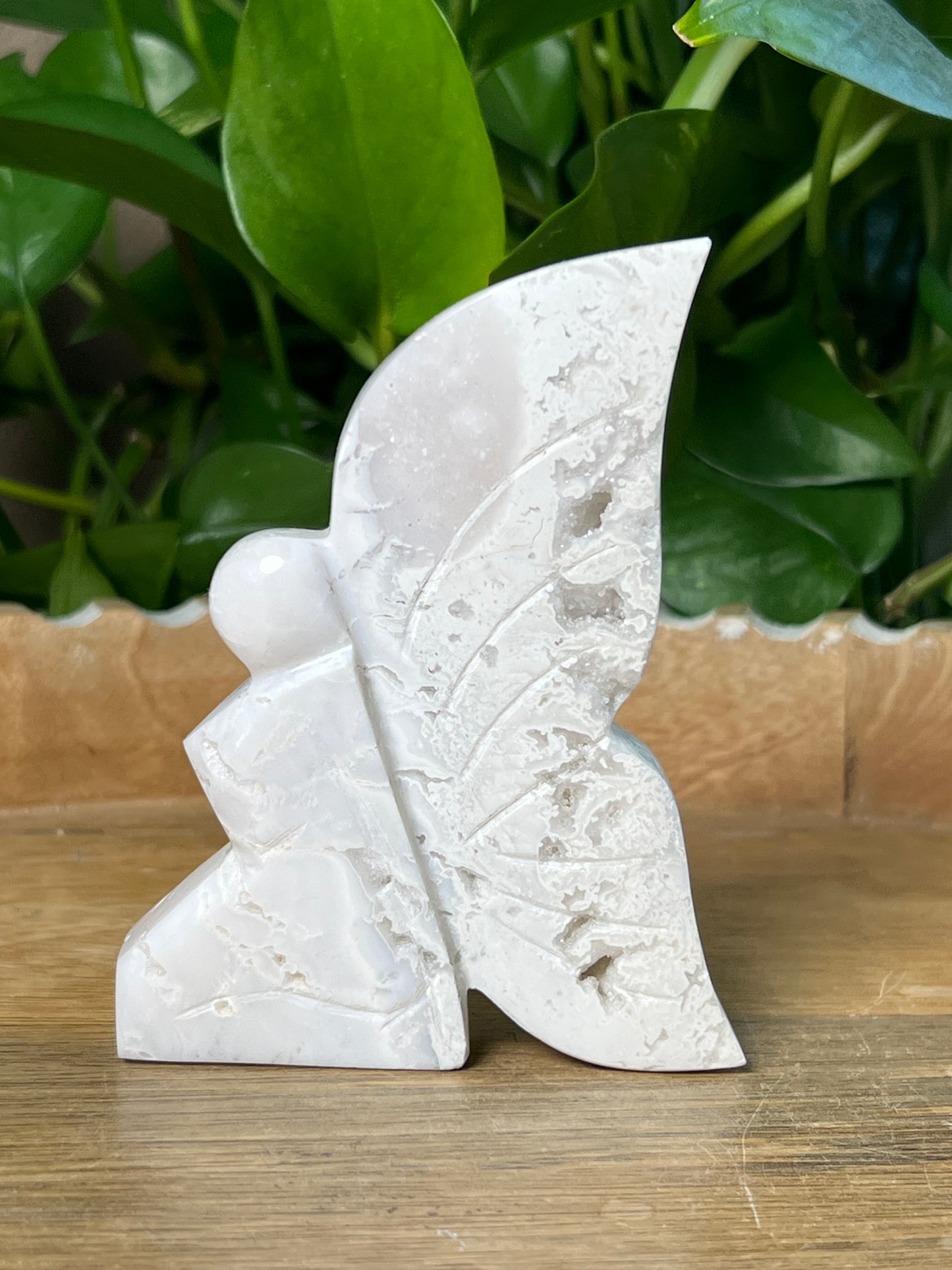 White Plume Agate Fairy