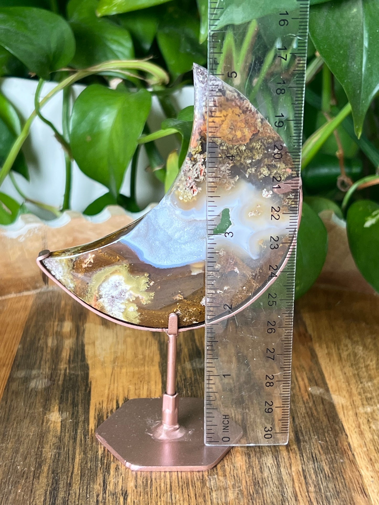 Scenic Moss Agate Moon