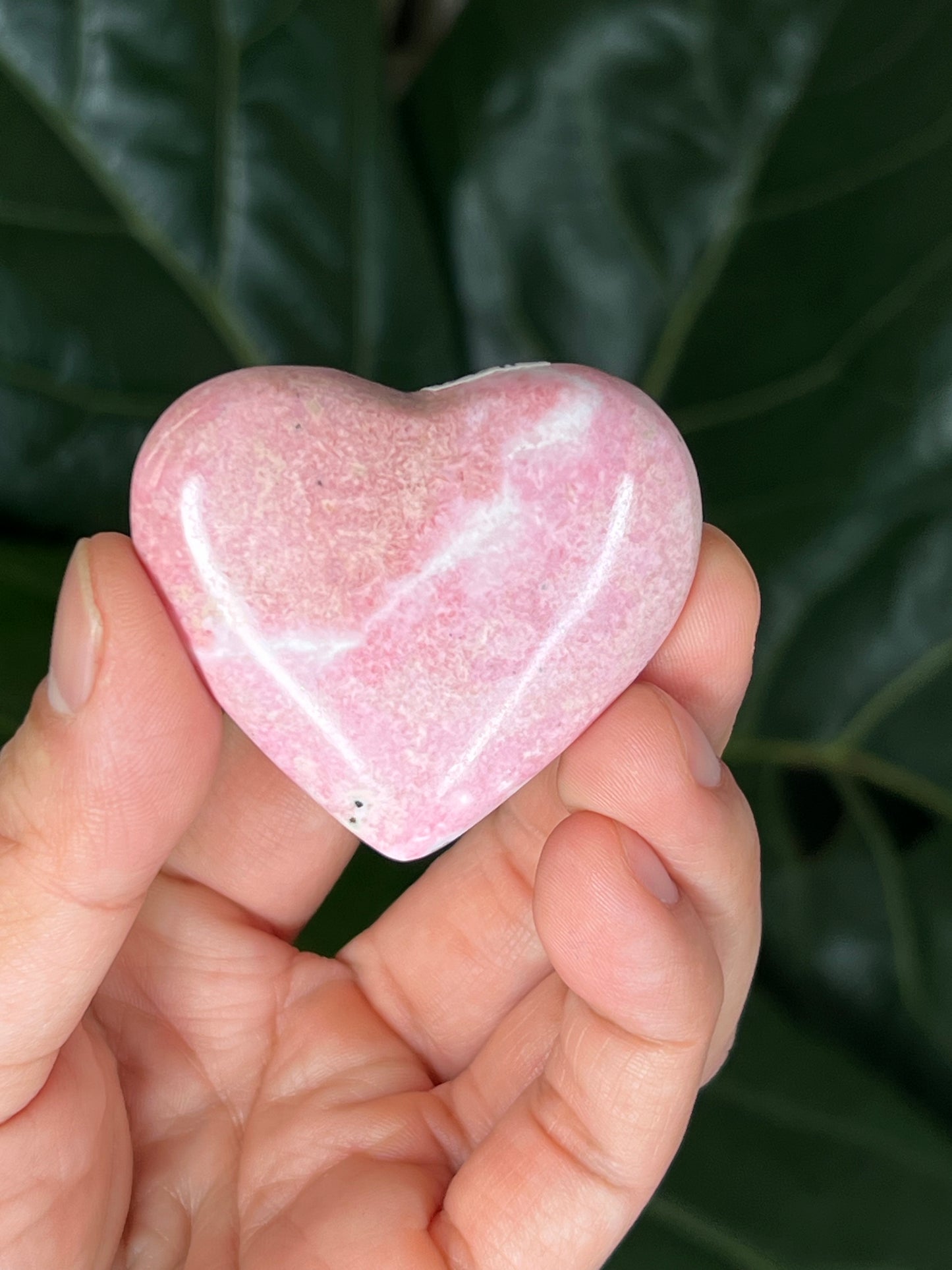 Rhodonite