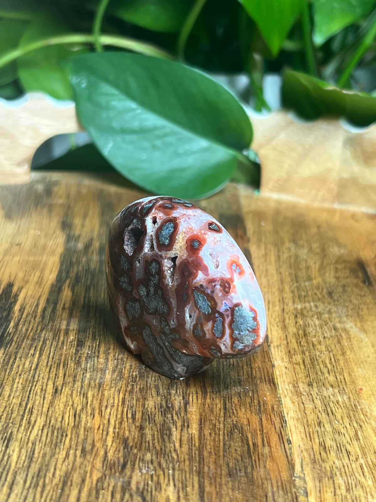 Marcasite Mini Bear: RD
