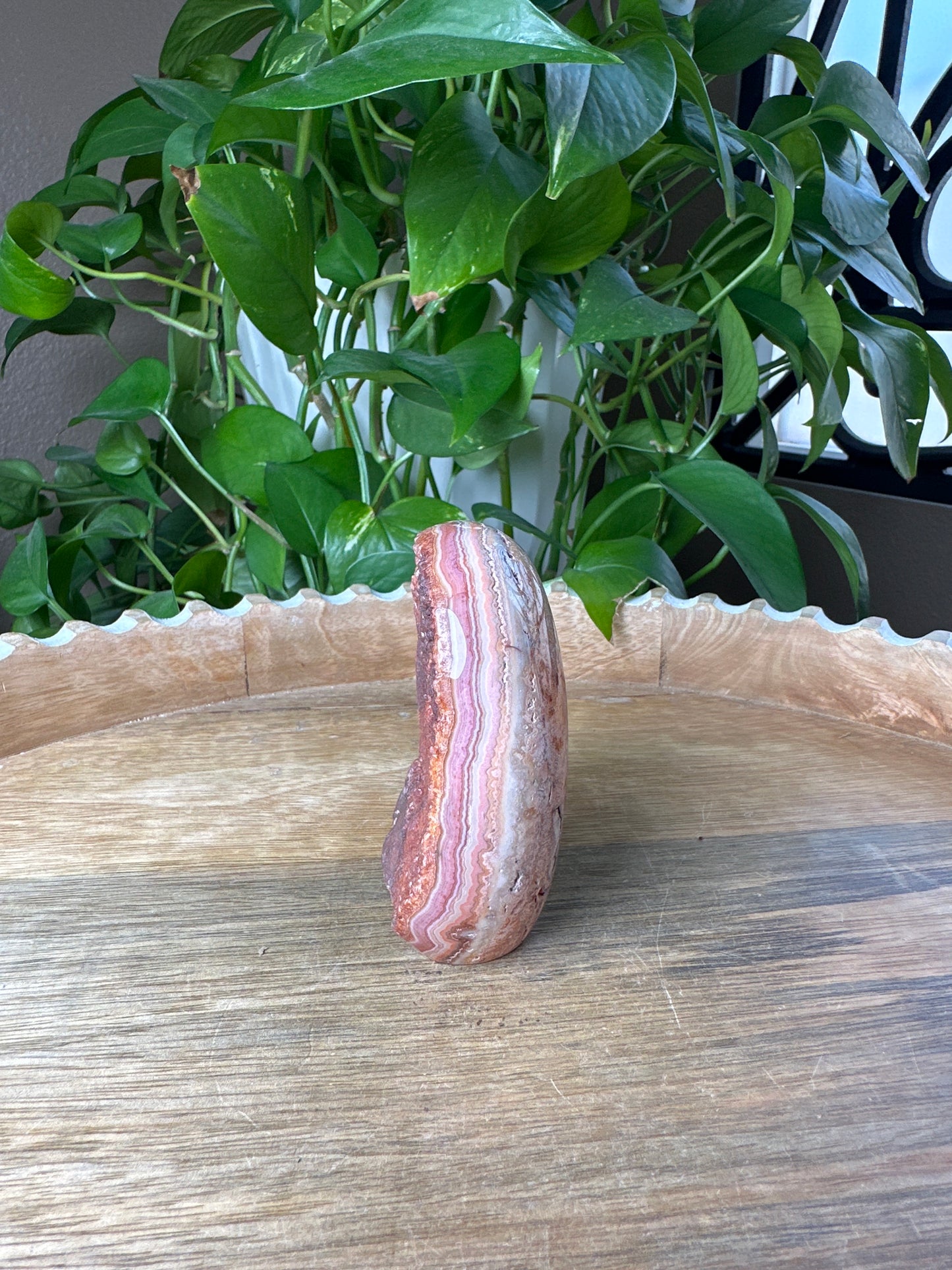 Crazy Lace Agate Freeform
