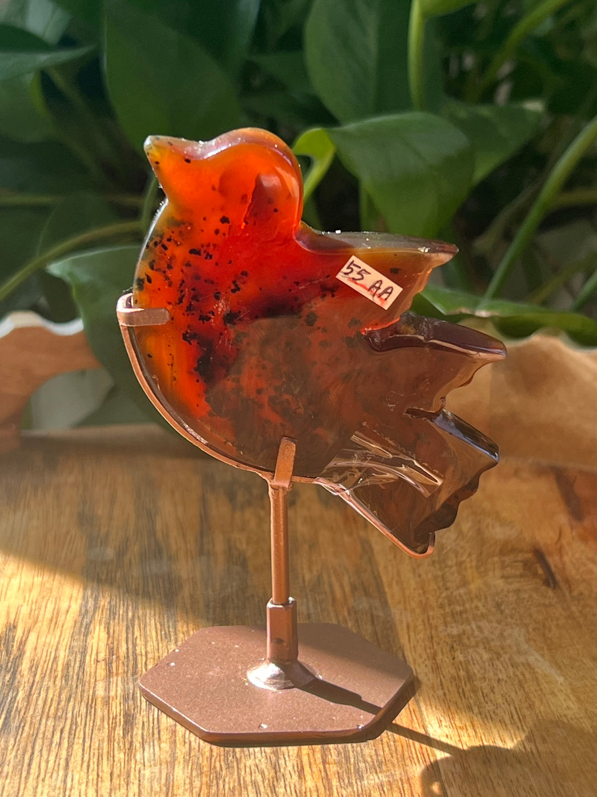 Blue Amber Bird: AA