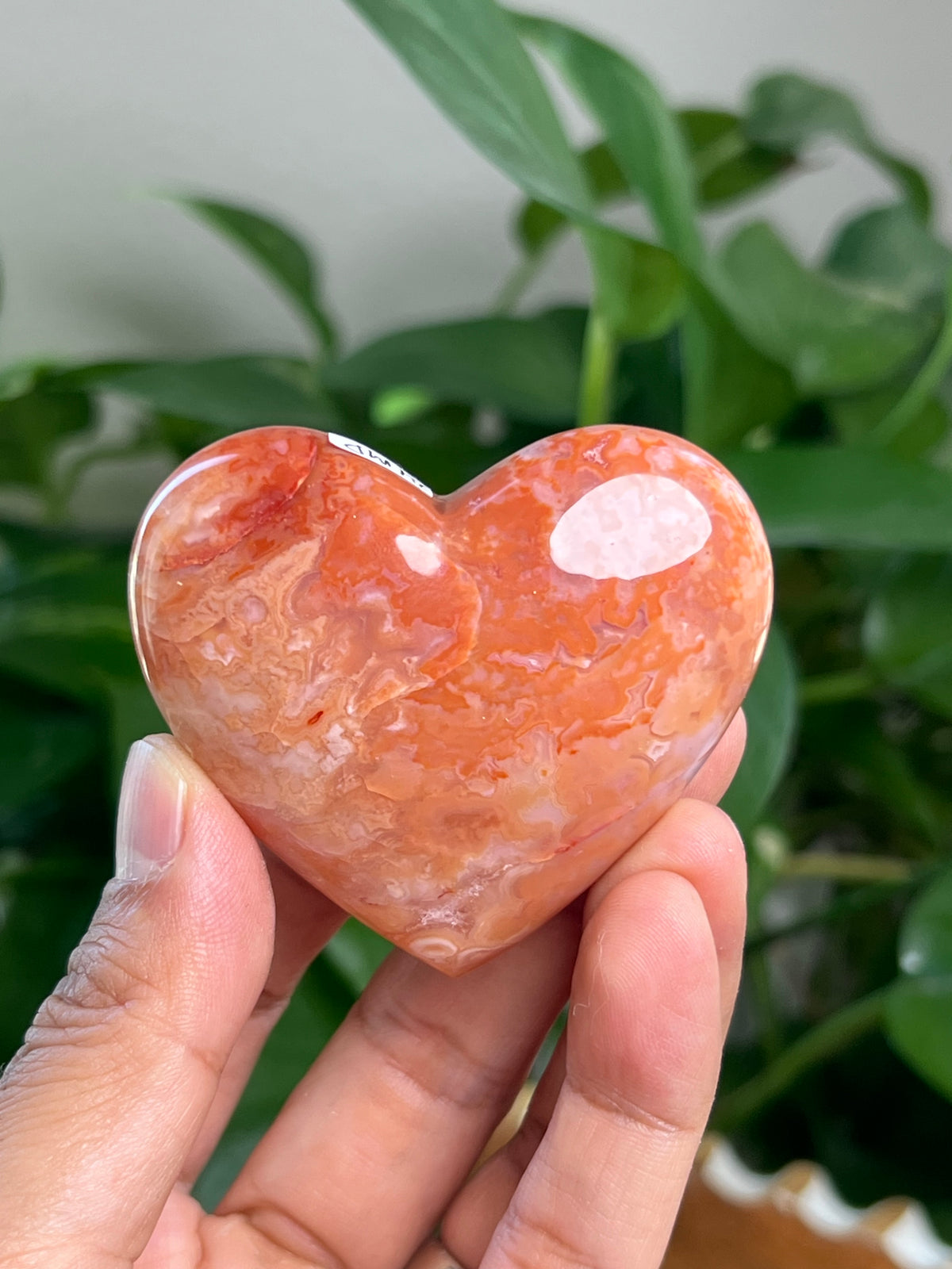 Carnelian Heart: MD