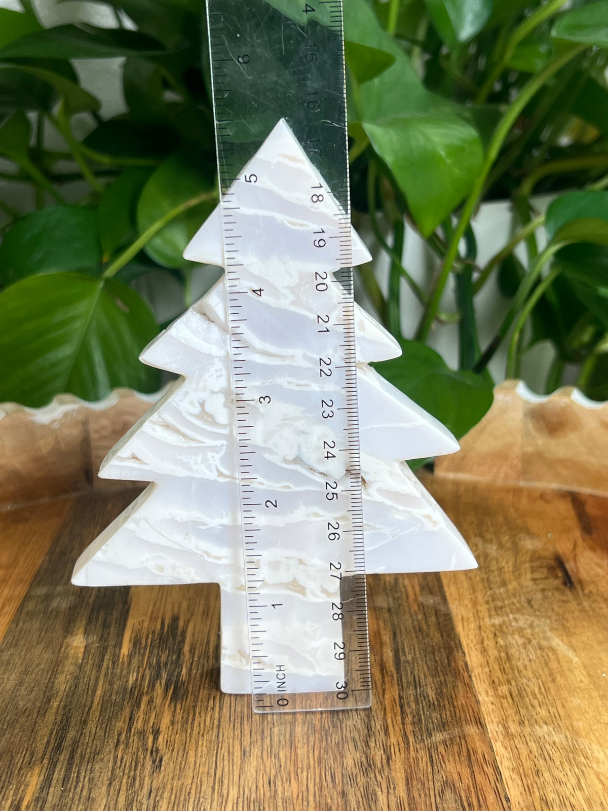 White Plume Agate Tree: BK