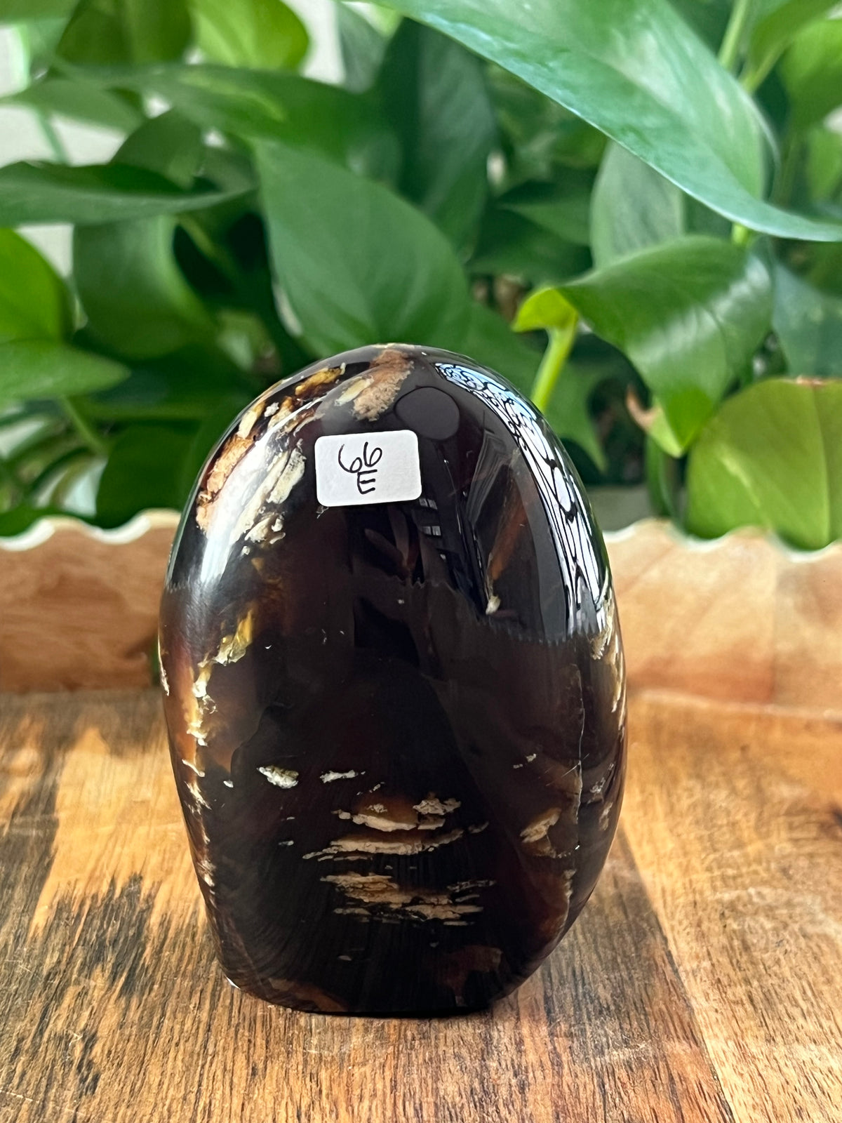 Blue Amber Freeform: E