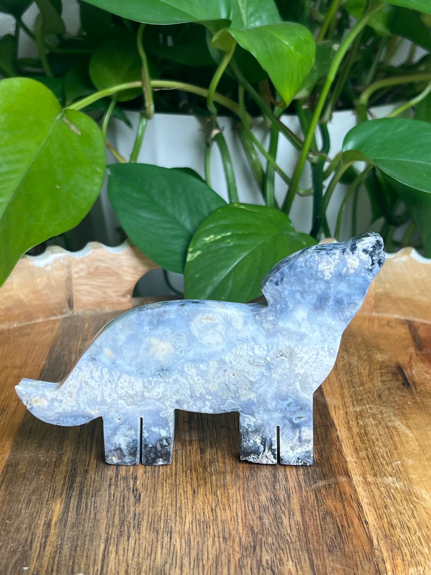 Blue Plume Agate Wolf: Q