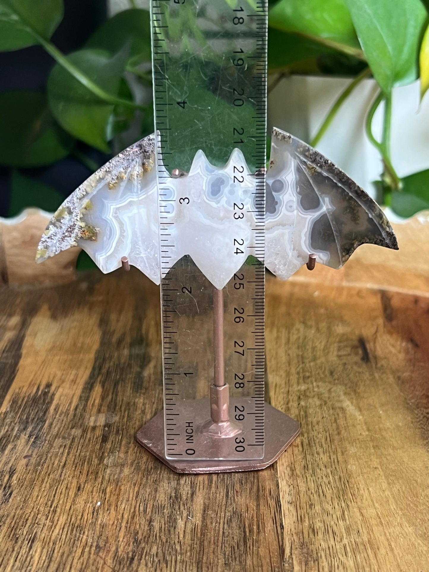Scenic Moss Agate Bat